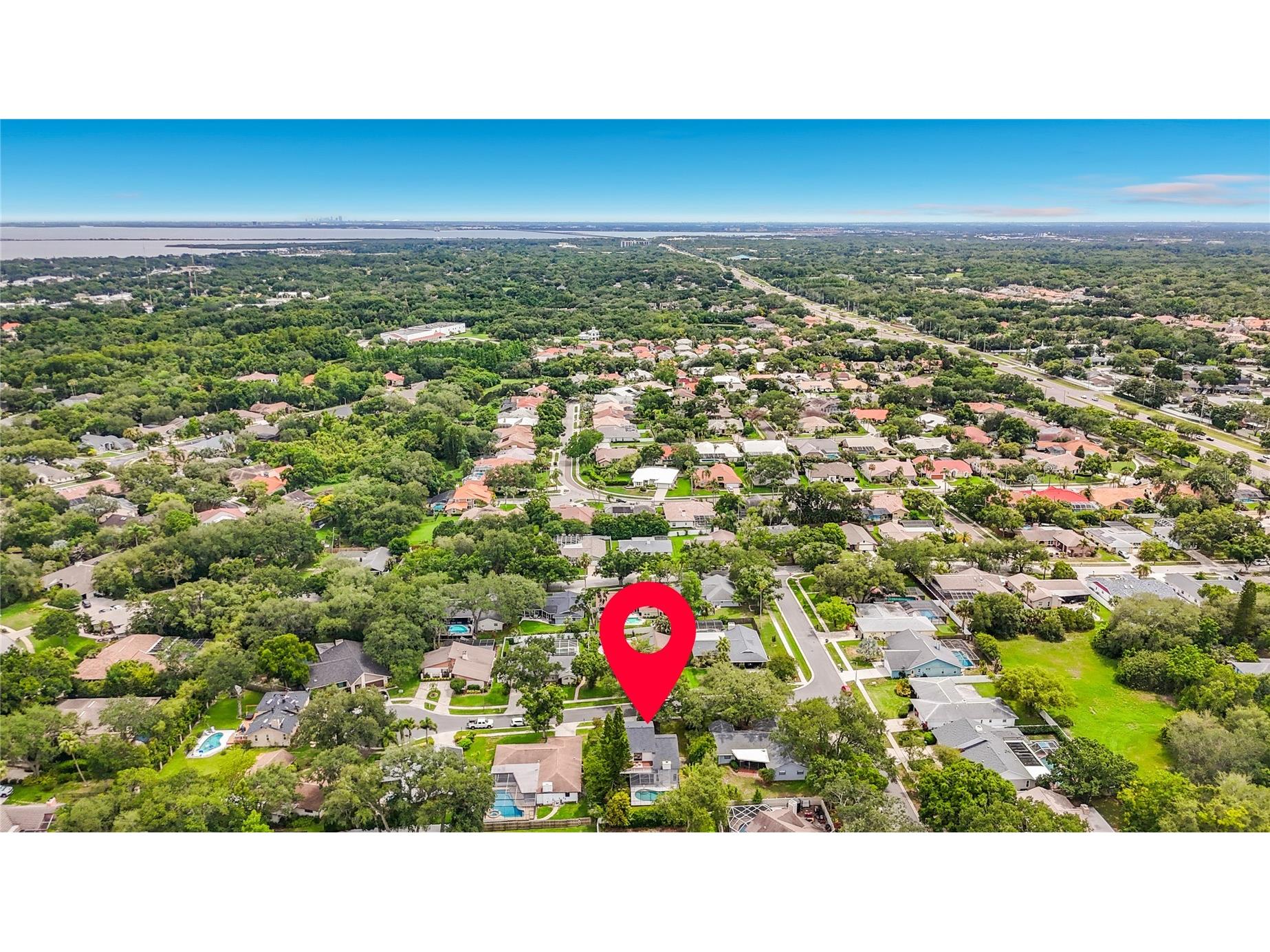 3 Octavia Way Safety Harbor FL 34695 TB8516095 image62