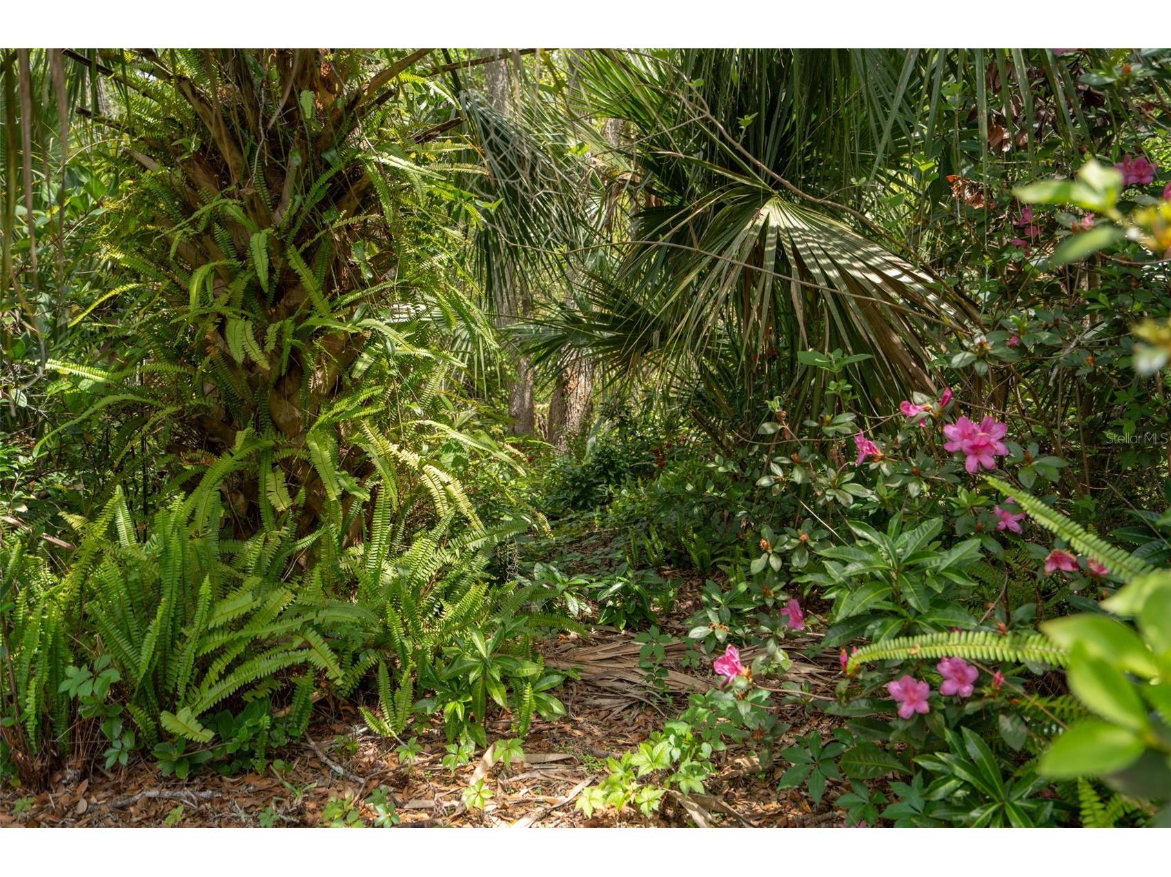 3 Old Post Road Longwood FL 32779 O6401472 image47