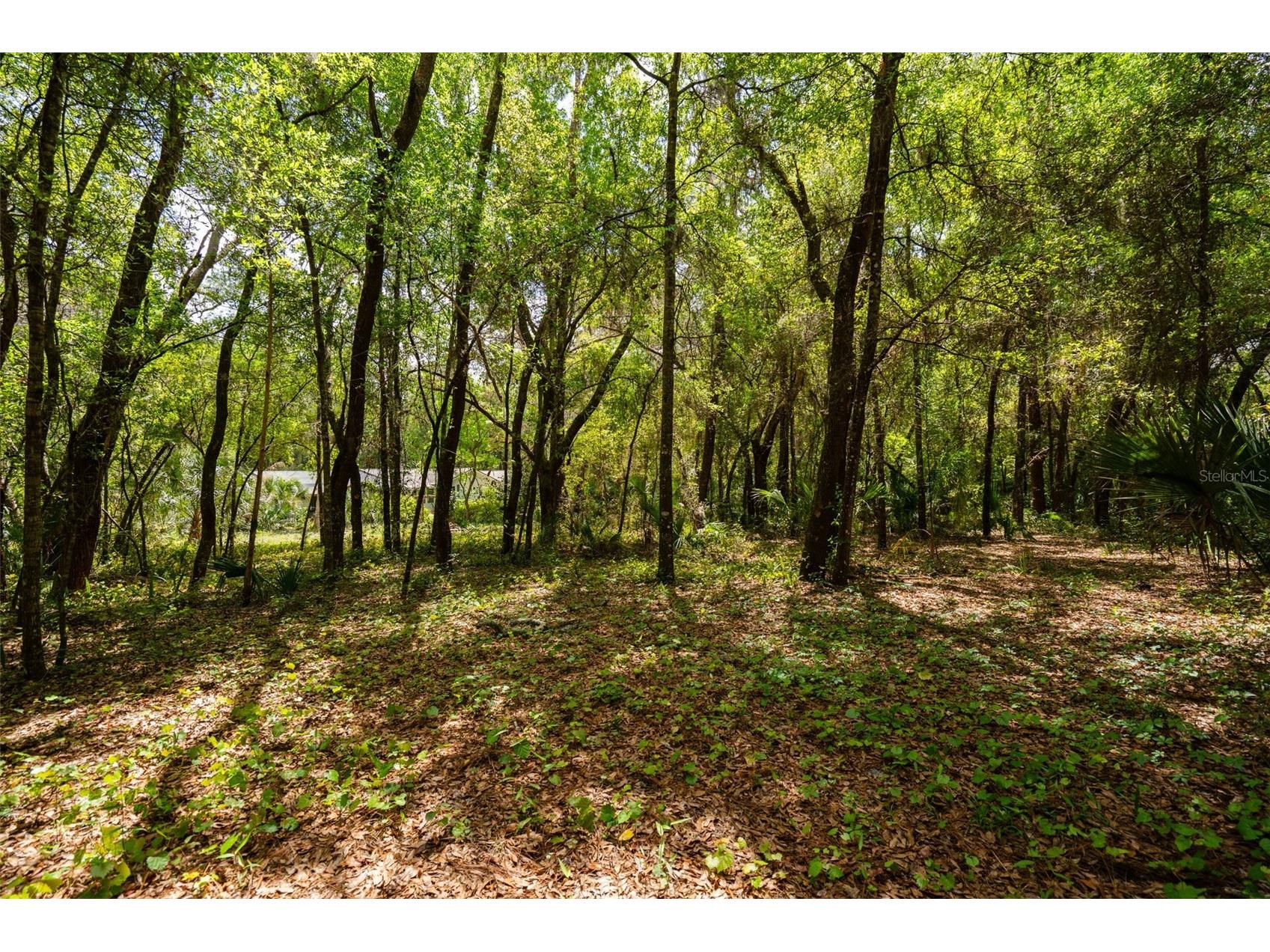 3 Old Post Road Longwood FL 32779 O6401472 image48