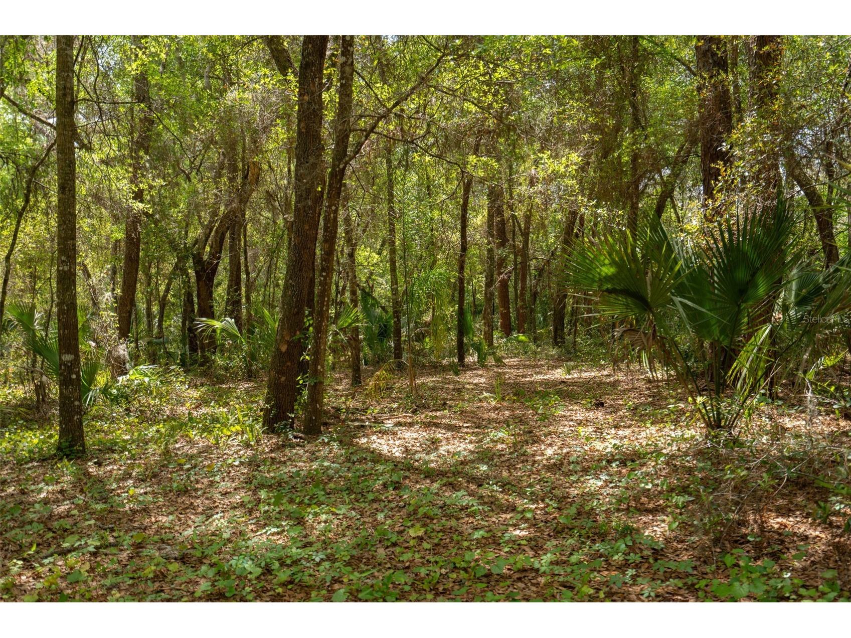 3 Old Post Road Longwood FL 32779 O6401472 image49