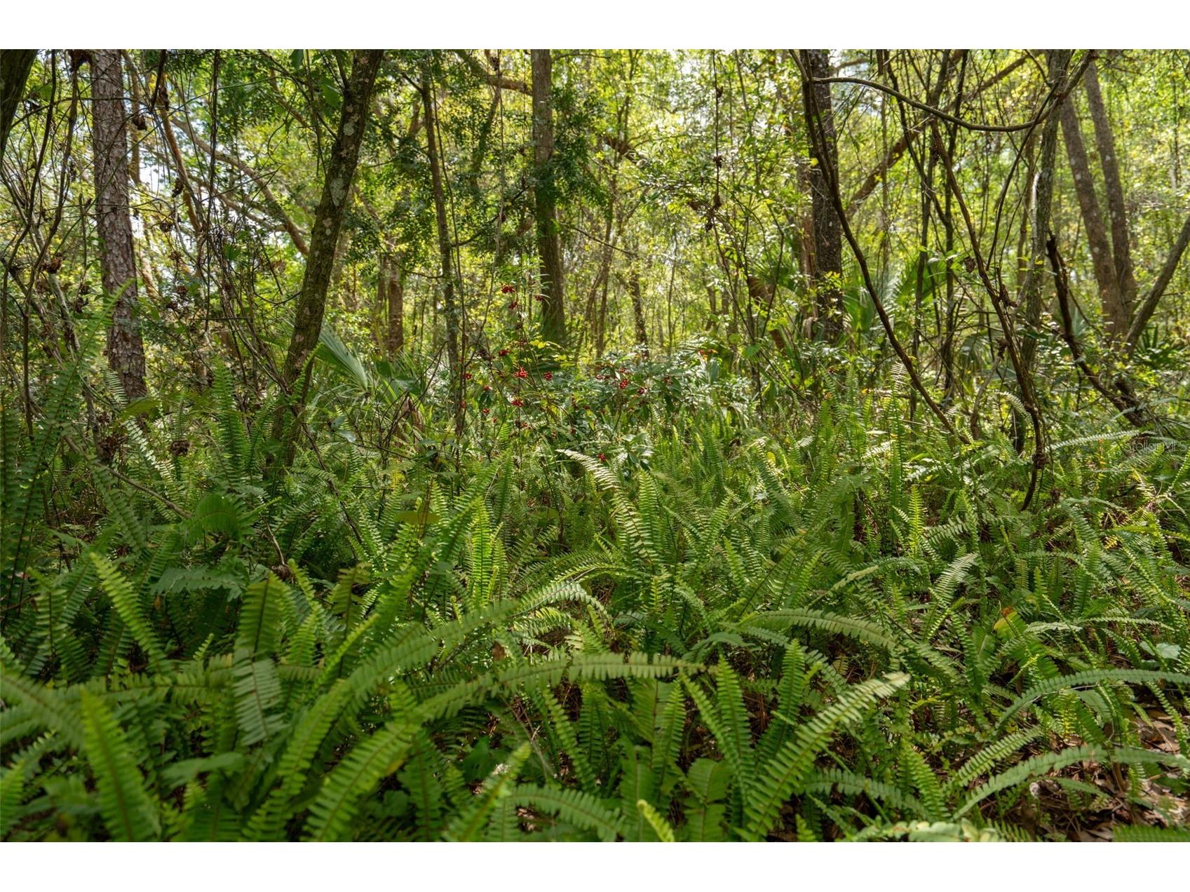3 Old Post Road Longwood FL 32779 O6401472 image51