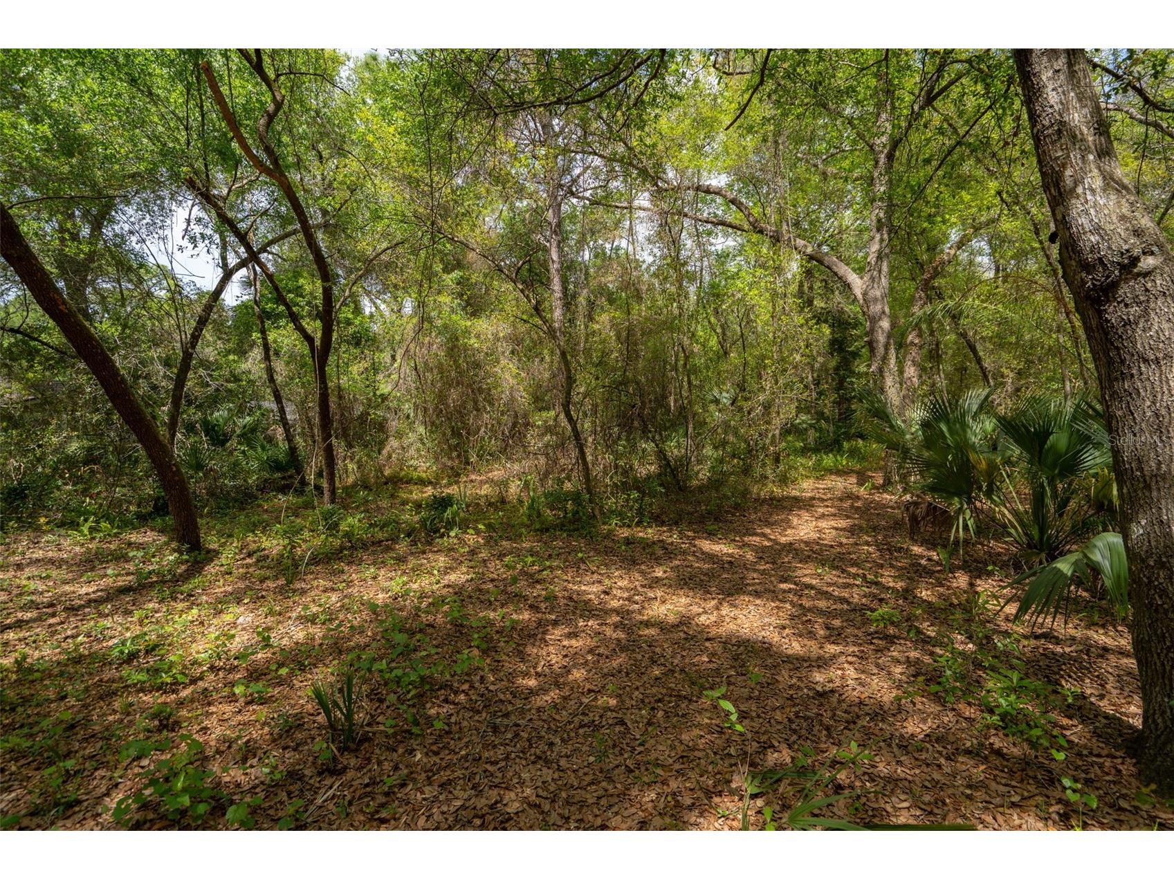3 Old Post Road Longwood FL 32779 O6401472 image52