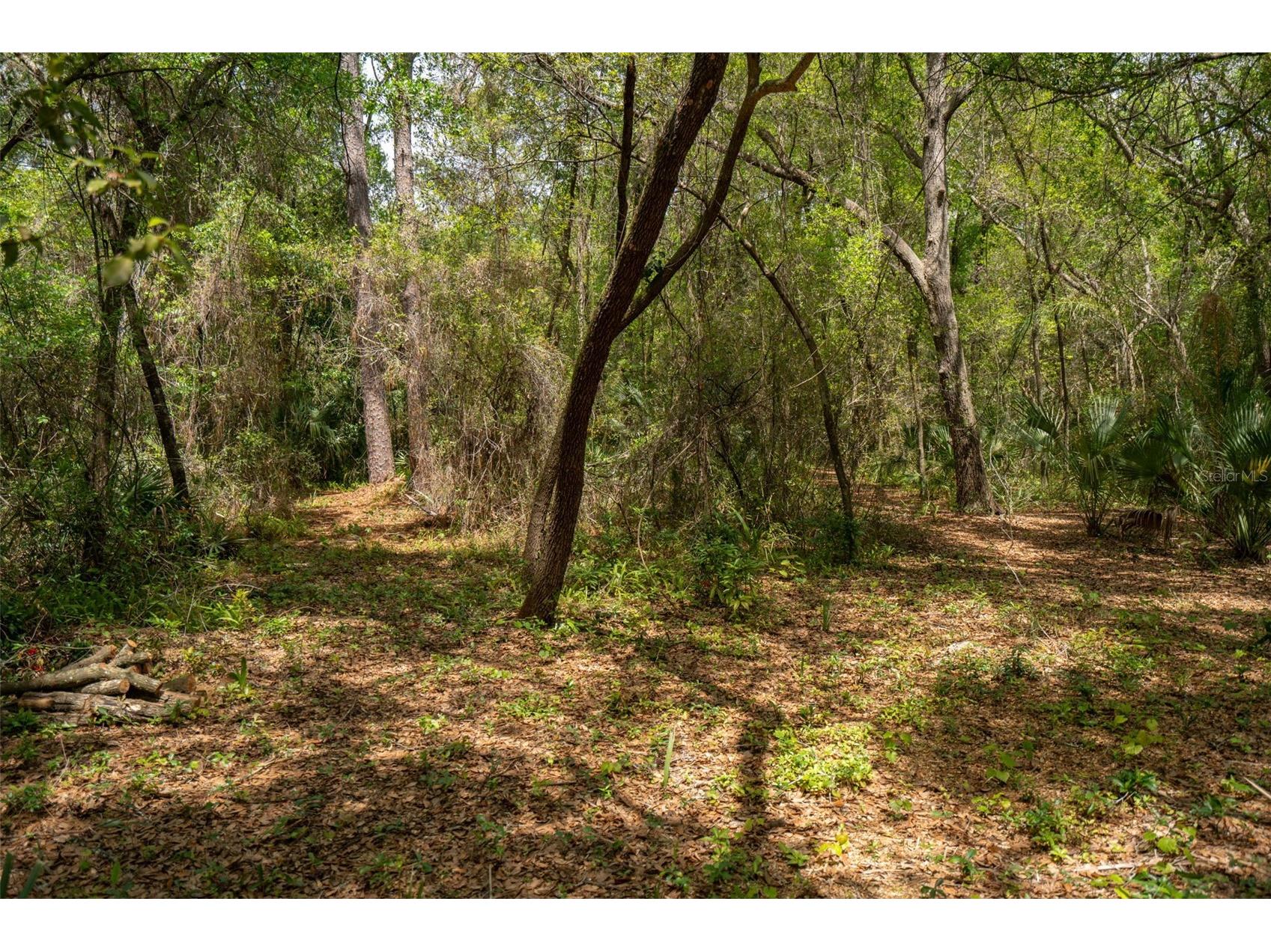 3 Old Post Road Longwood FL 32779 O6401472 image53
