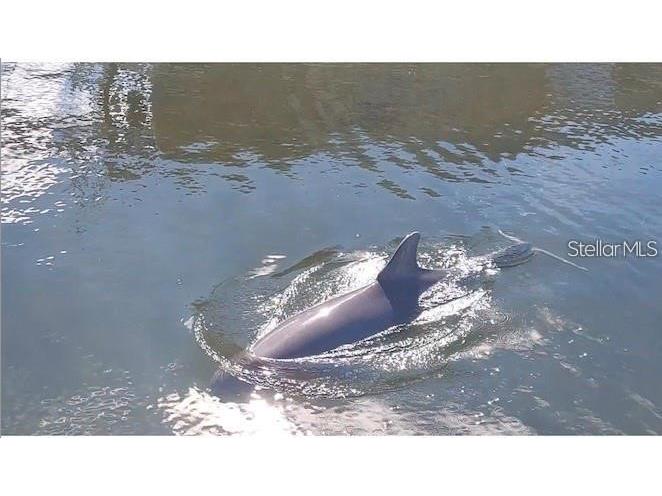 3 Paradise Lane Treasure Island FL 33706 - BOCA CIEGA BAY TB8368859 image74