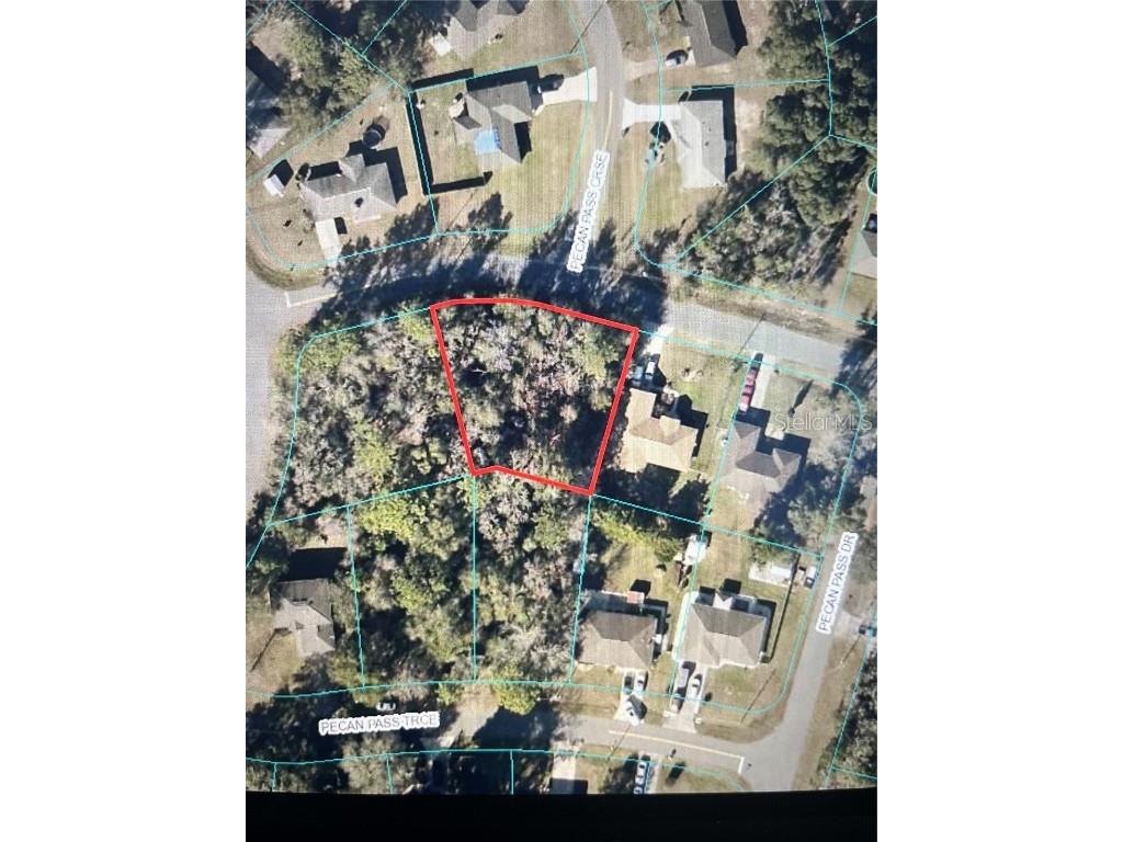 3 Pecan Pass Terrace Ocala FL 34472 R4907020 image1