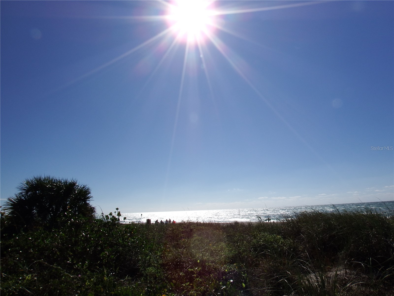 3 Pine Valley Court Rotonda West FL 33947 D6142232 image17