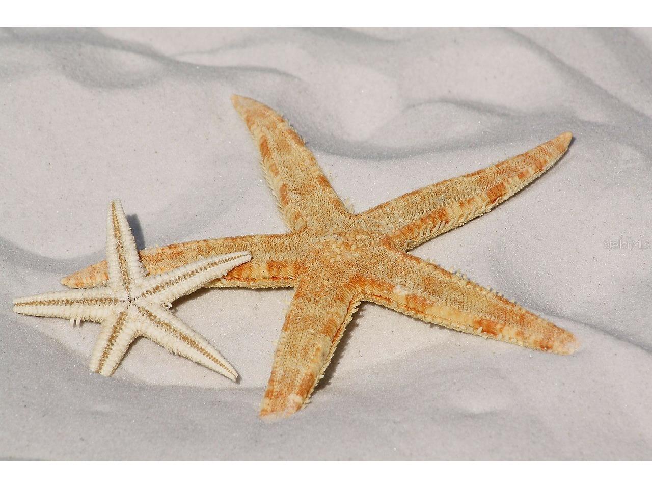 3 Pine Valley Court Rotonda West FL 33947 D6142232 image96