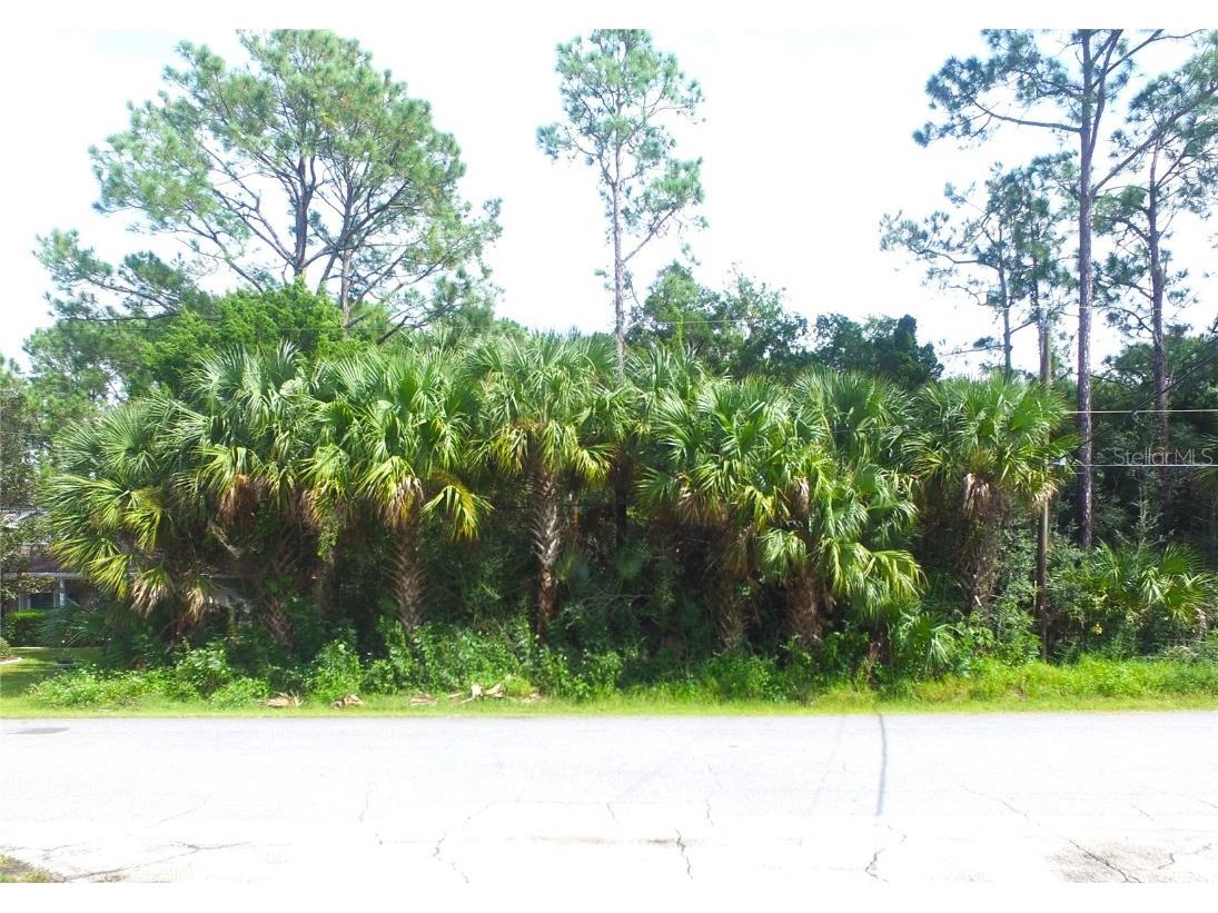 3 Pinetree Drive Palm Coast FL 32164 FC295374 image1