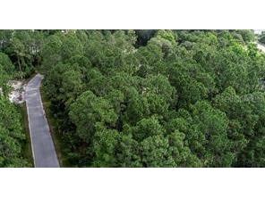 3 Potomac Drive Palm Coast FL 32164 FC295196 image1