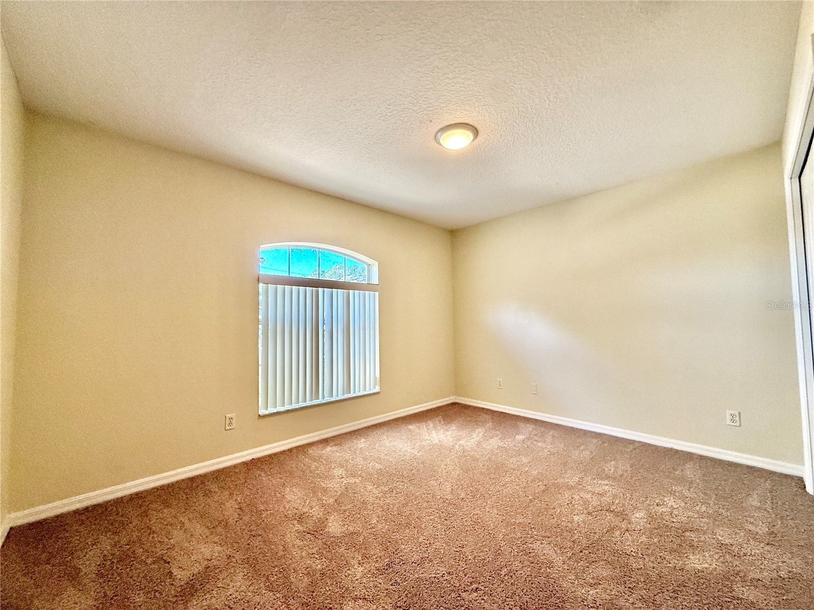 3 Prosperity Lane #A/B Palm Coast FL 32164 FC317052 image35