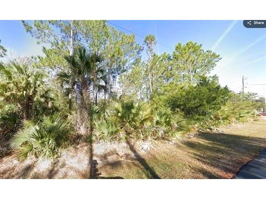 3 Ranshire Lane Palm Coast FL 32164 FC311205 image3