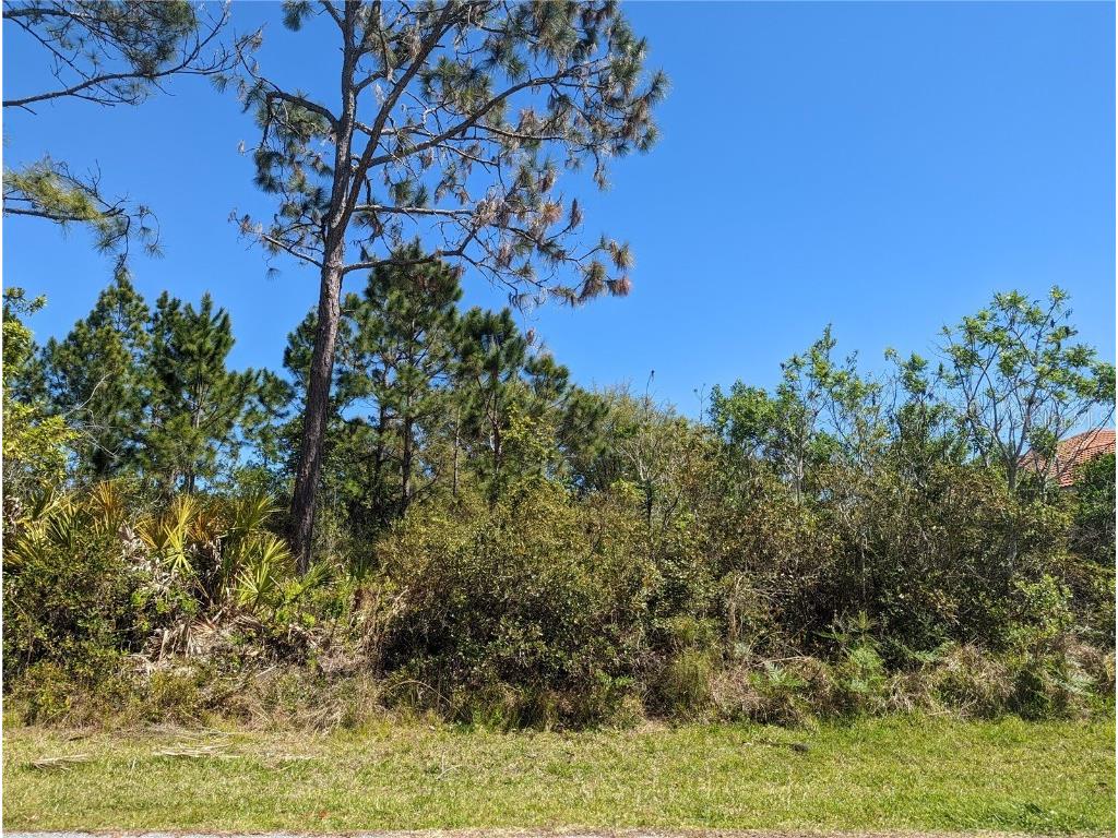 3 Roxanne Ln Palm Coast FL 32164 FC290758 image1