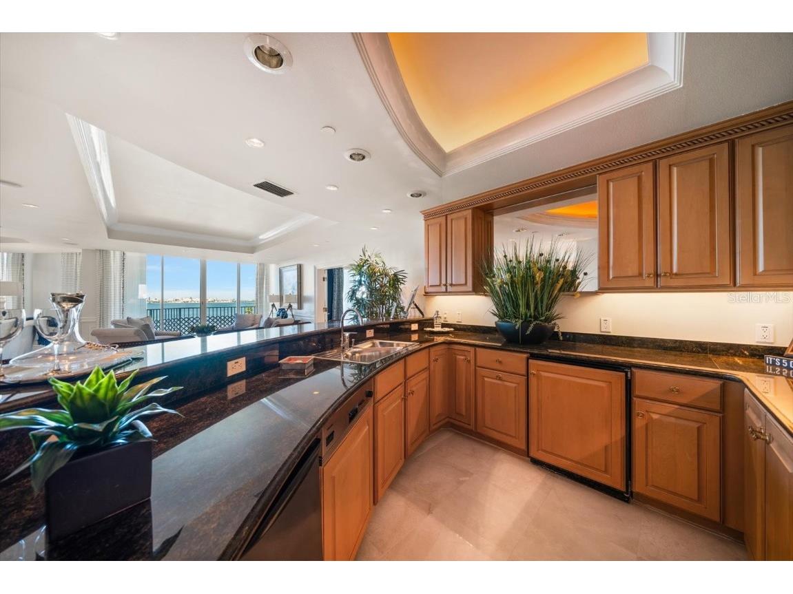 3 Seaside Lane #601 Belleair FL 33756 TB8442748 image51