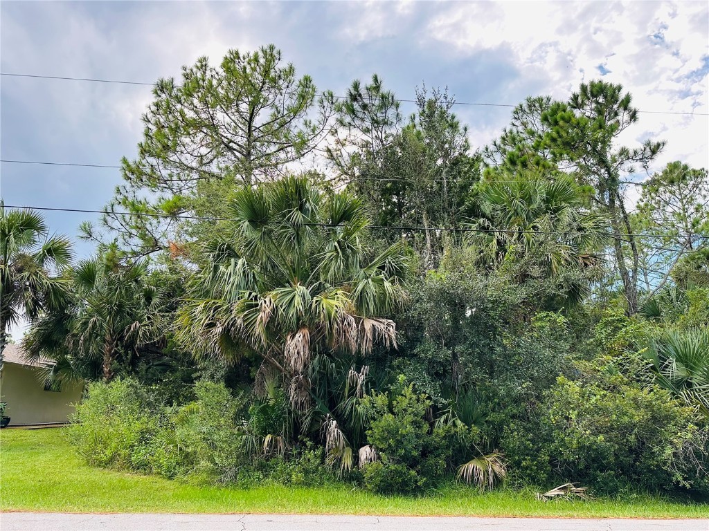 3 Seattle Trail Palm Coast FL 32164 FC312936 image1