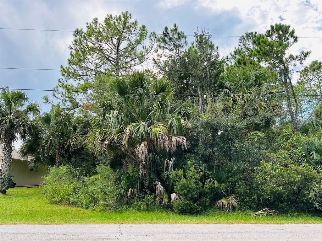 3 Seattle Trail Palm Coast FL 32164 FC312936 image4