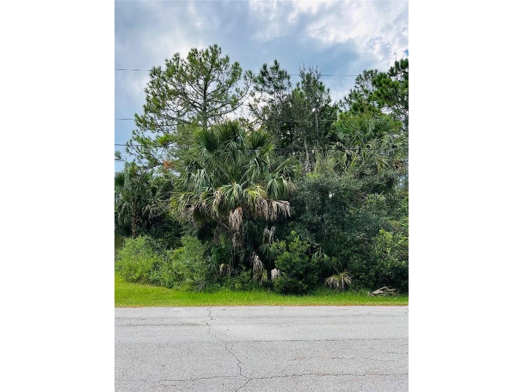 3 Seattle Trail Palm Coast FL 32164 FC312936 image5