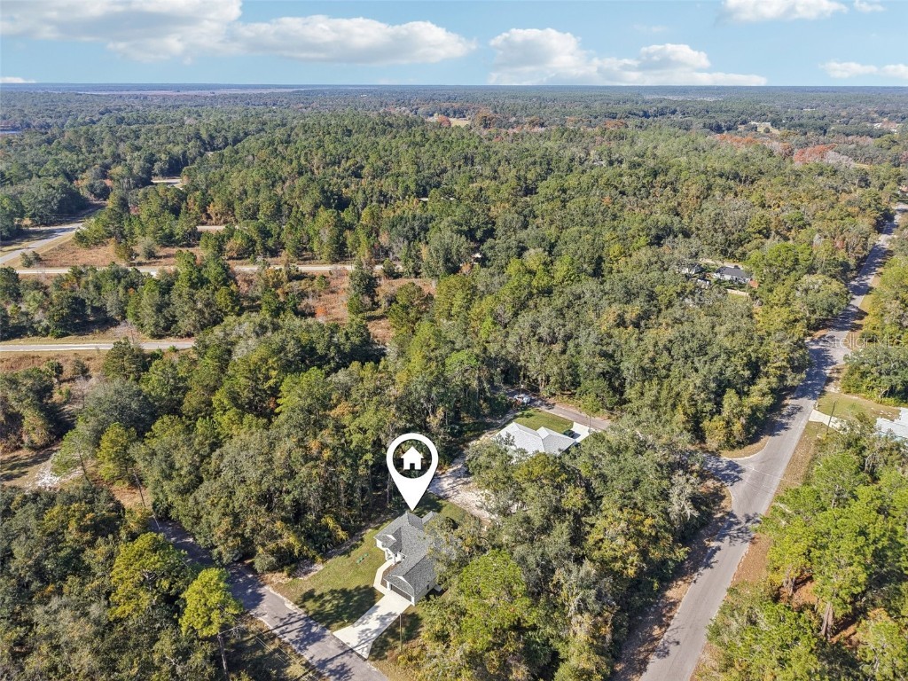3 Sequoia Drive Trace Ocklawaha FL 32179 O6361996 image24