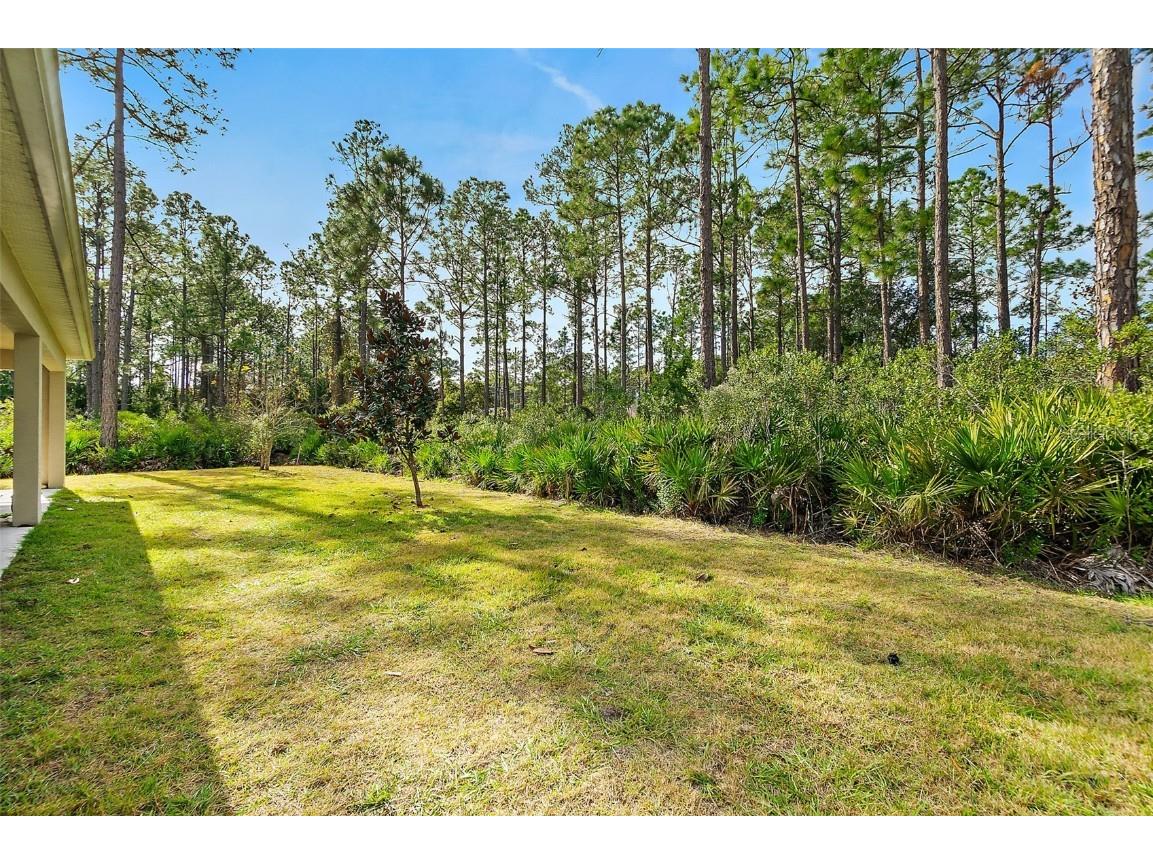 3 Seton Court Palm Coast FL 32164 FC314647 image33