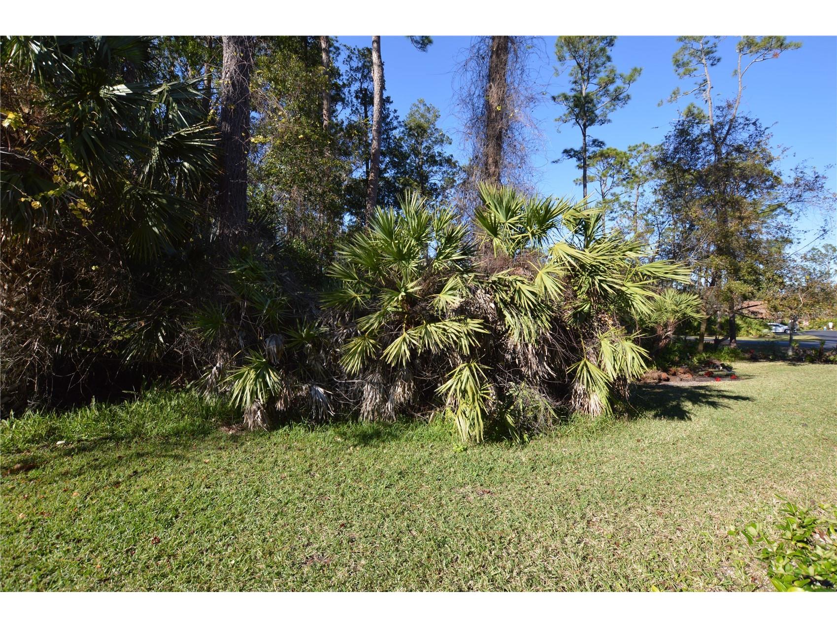 3 Southbury Court Palm Coast FL 32137 FC317722 image19