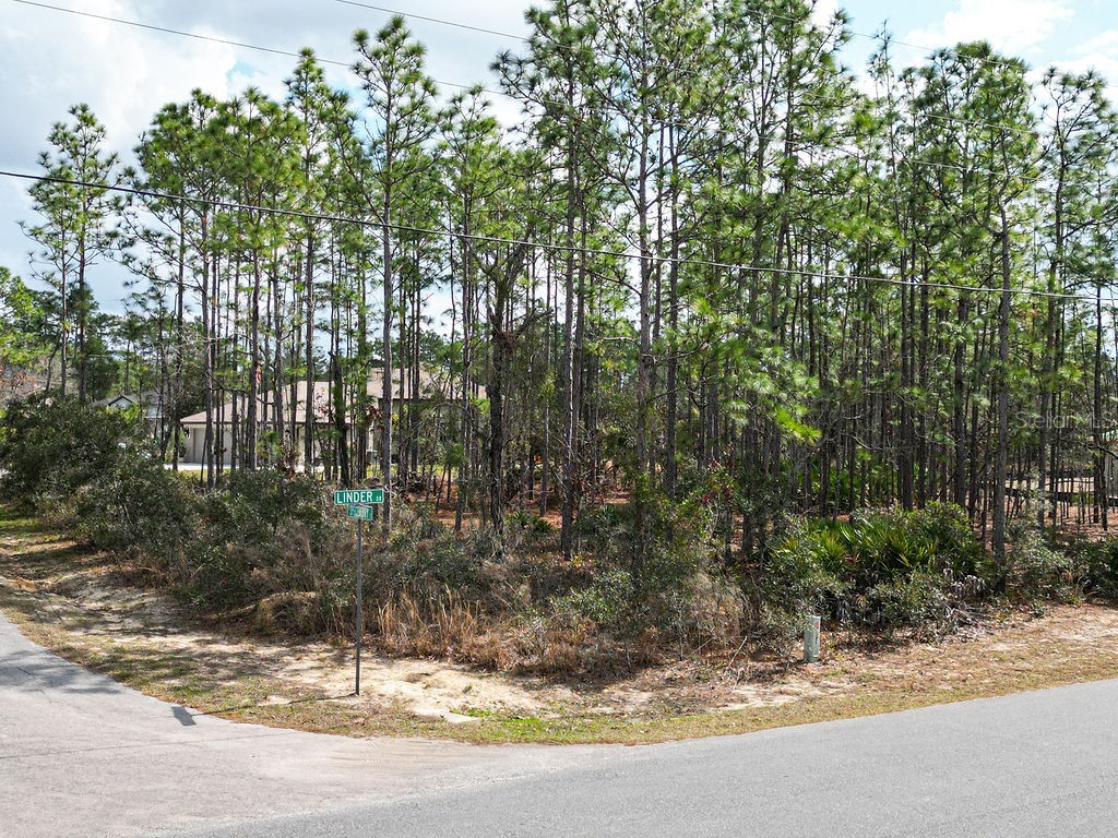 3 Speceberry Court S Homosassa FL 34446 W7872557 image1