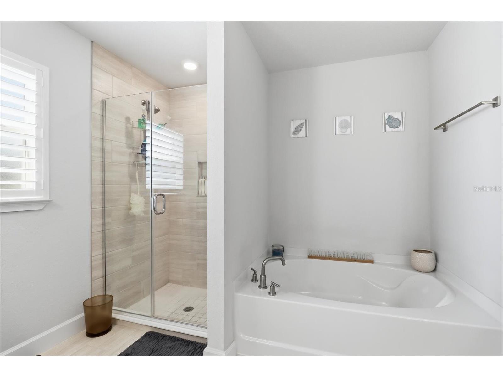 3 Stokesia Court Homosassa FL 34446 TB8507733 image19