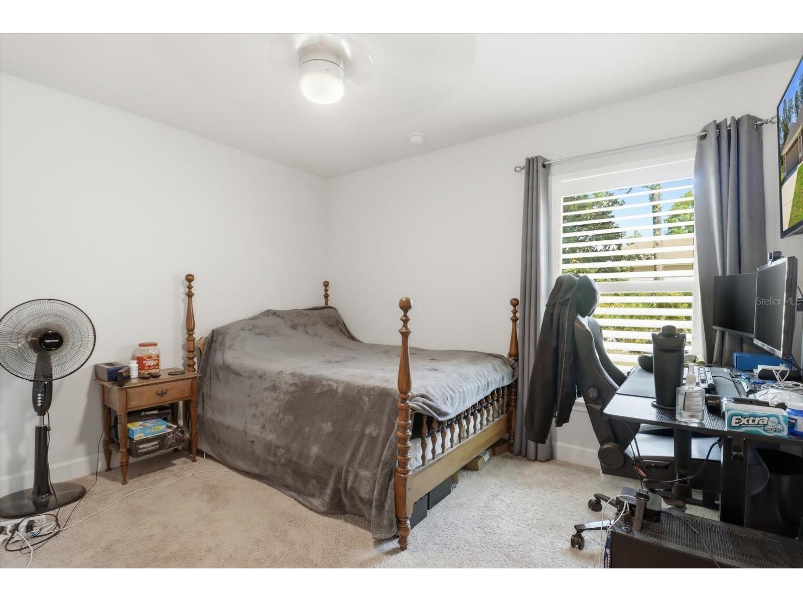 3 Stokesia Court Homosassa FL 34446 TB8507733 image26