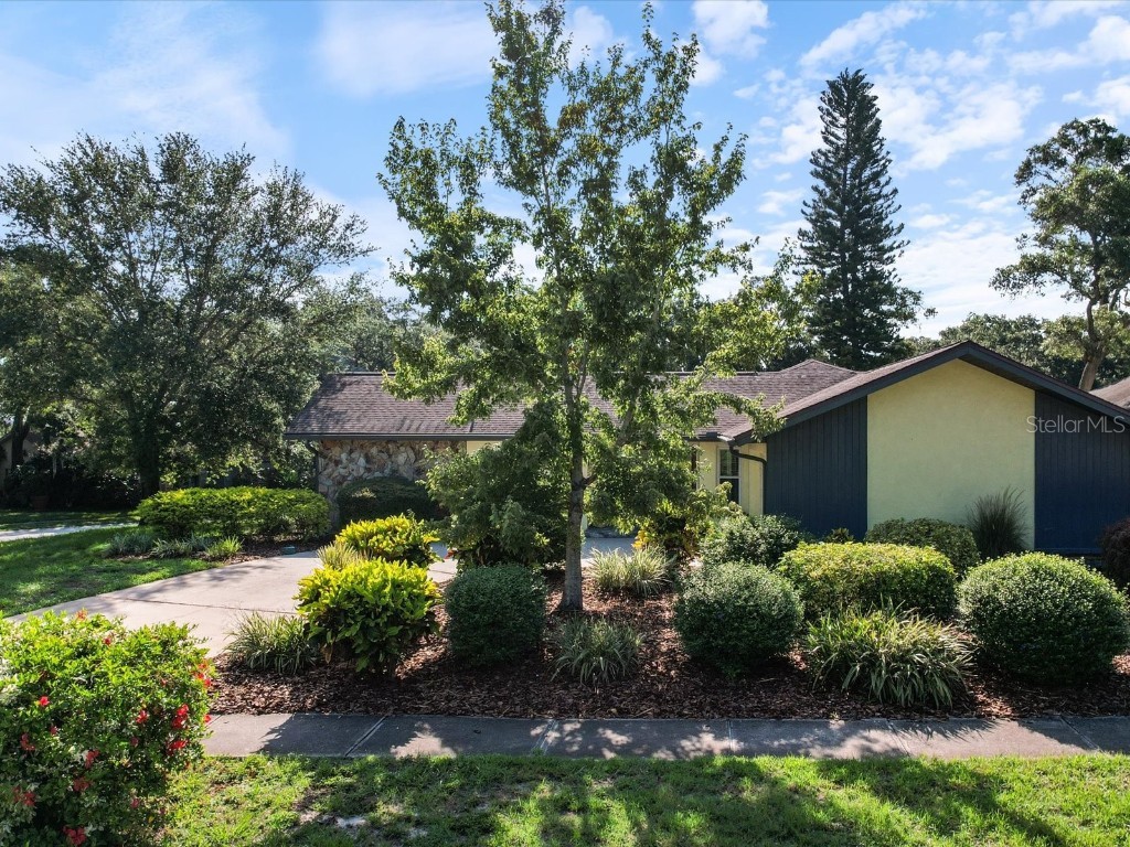 3 Summit Lane Safety Harbor FL 34695 U8249238 image1