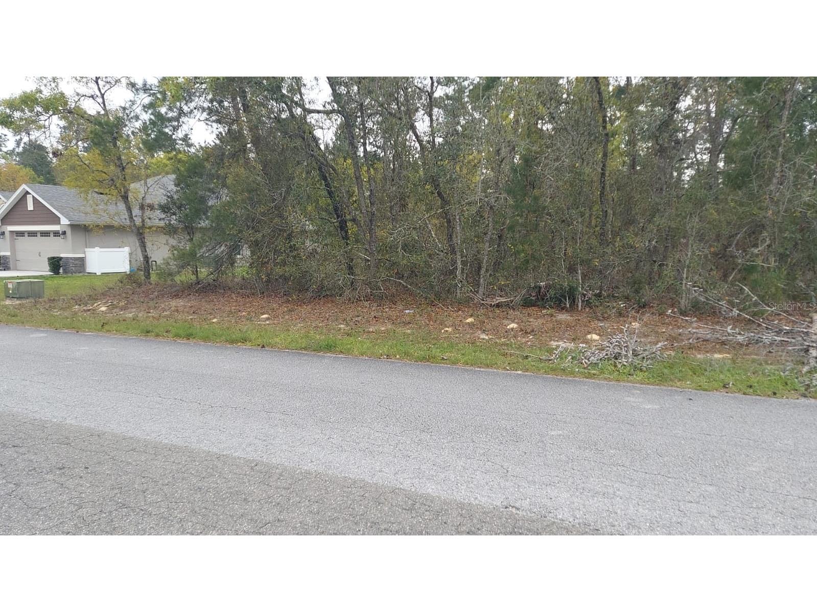 3 Tall Marigolds Ct Homosassa FL 34446 TB8489846 image1