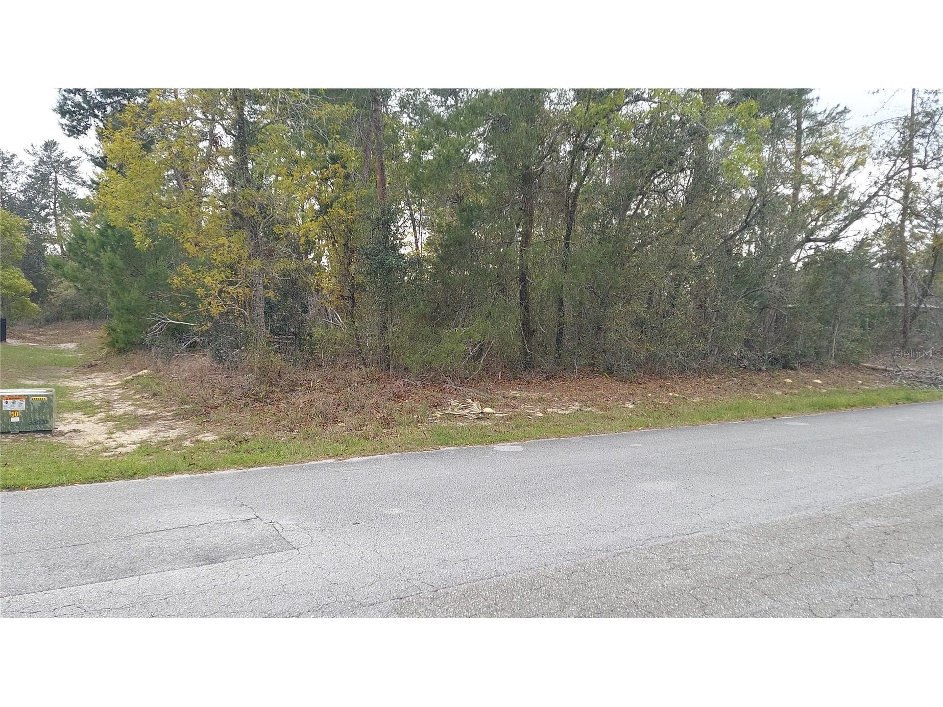 3 Tall Marigolds Ct Homosassa FL 34446 TB8489846 image2