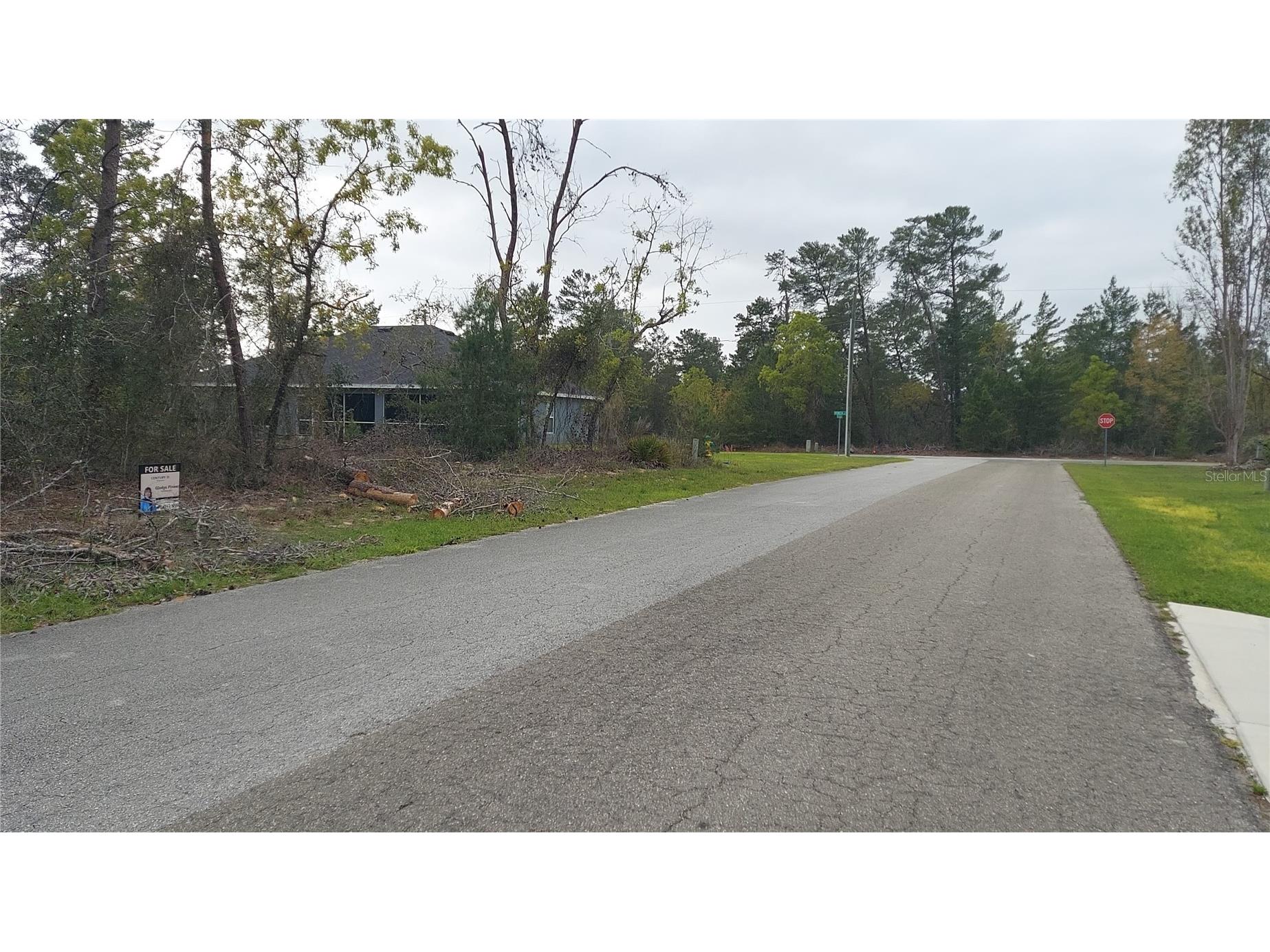 3 Tall Marigolds Ct Homosassa FL 34446 TB8489846 image3