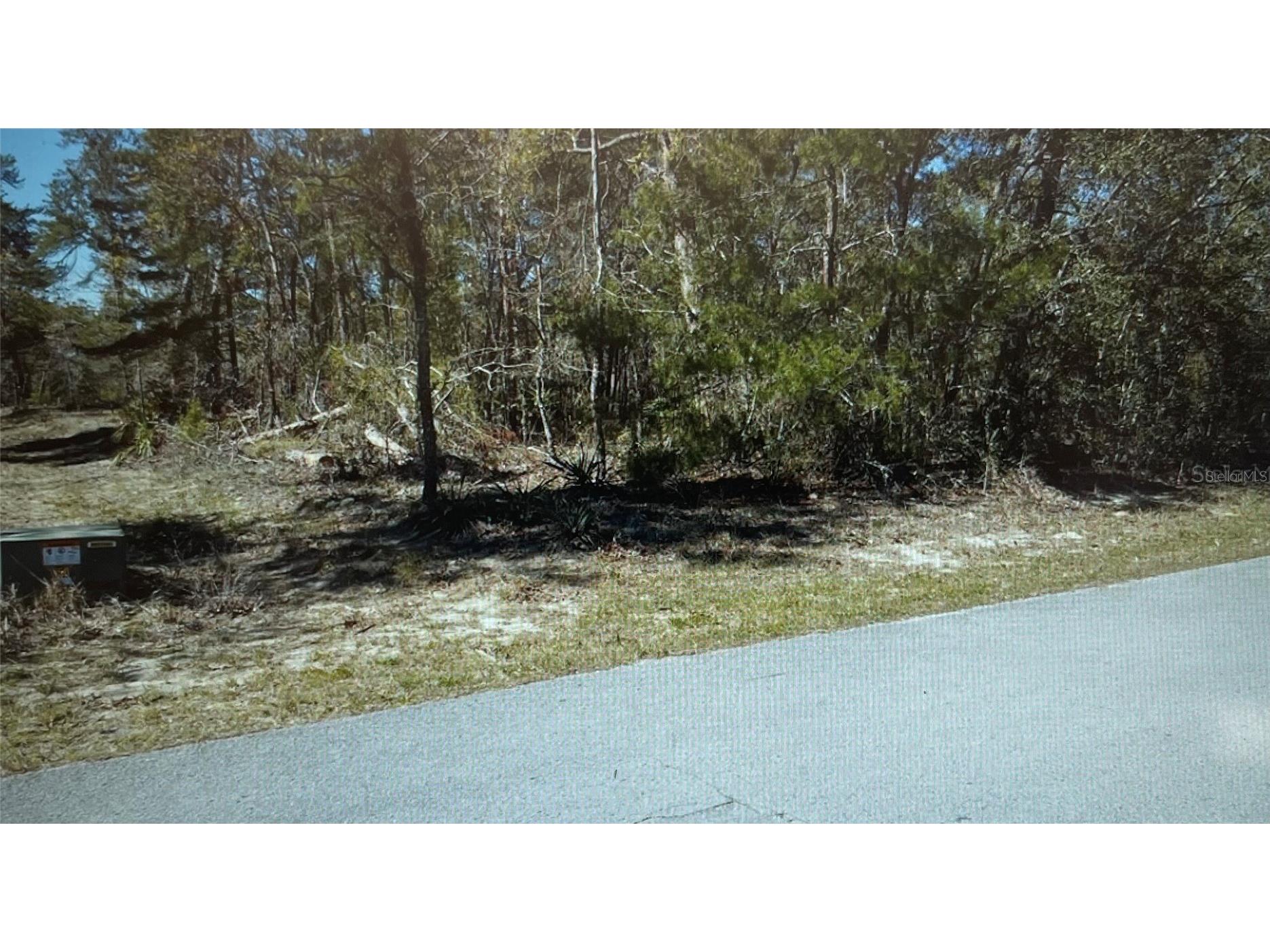3 Tall Marigolds Ct Homosassa FL 34446 TB8489846 image5
