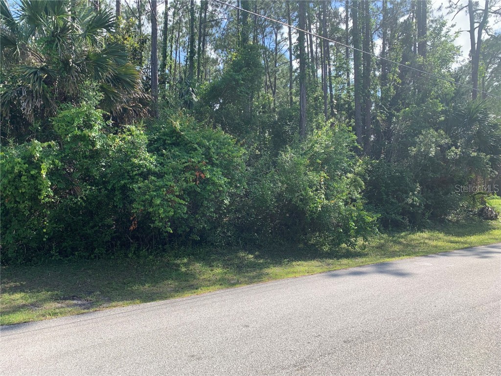 3 Undermount Path E Palm Coast FL 32164 FC290976 image1