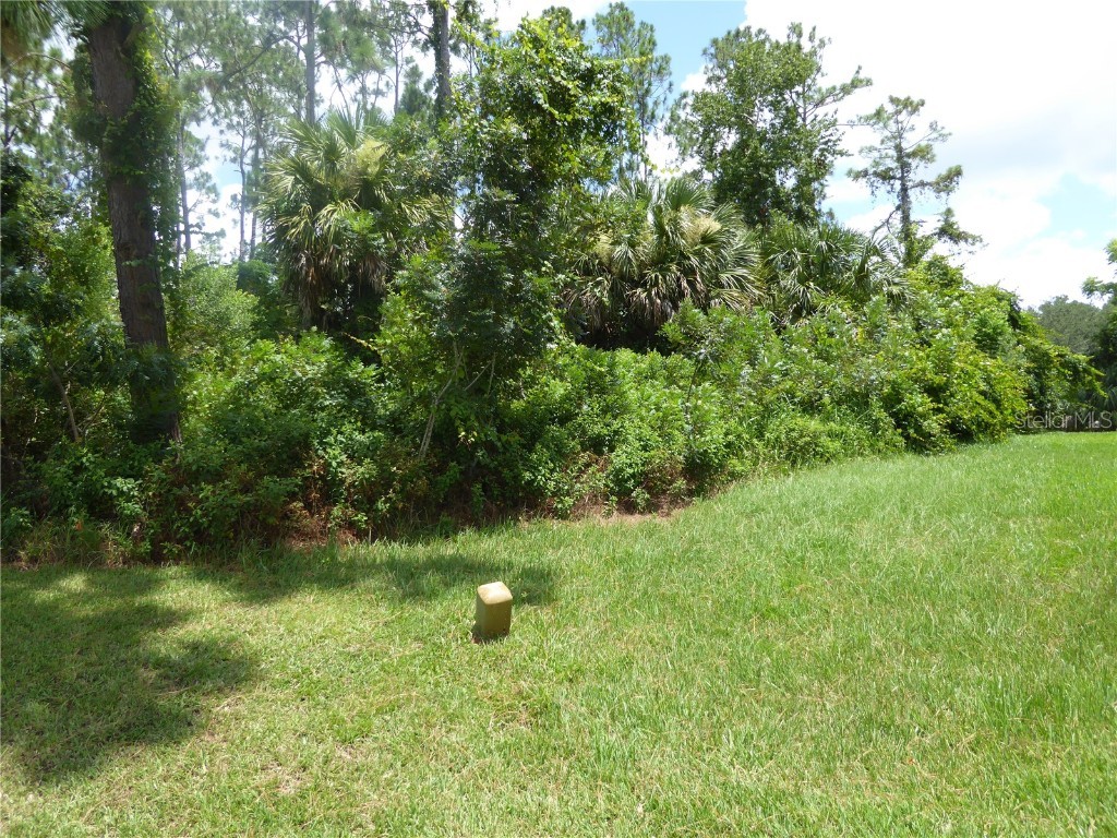 3 Whitlow Place Palm Coast FL 32164 FC286133 image1