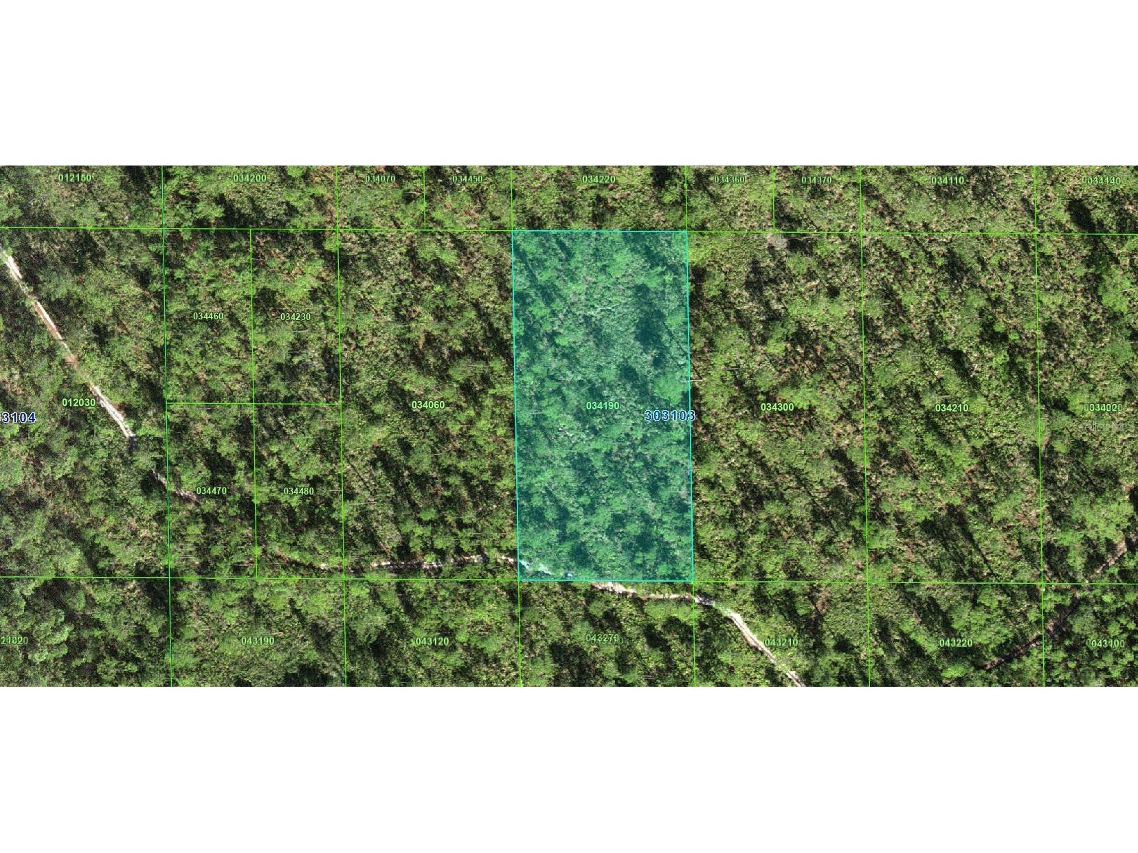 30-31-03-000000-034190 Inaaccesible Track Lake Wales FL 33898 A4663739 image1