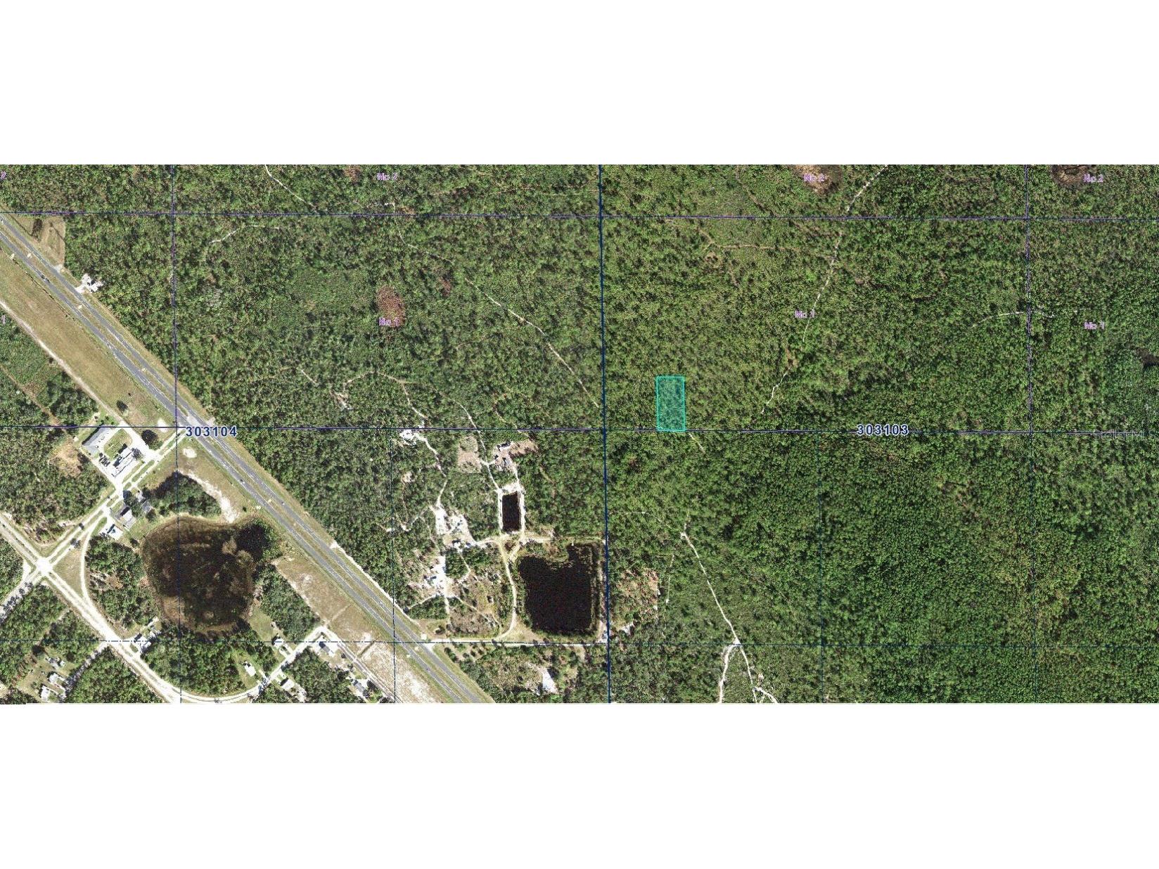 30-31-03-000000-034190 Inaaccesible Track Lake Wales FL 33898 A4663739 image2