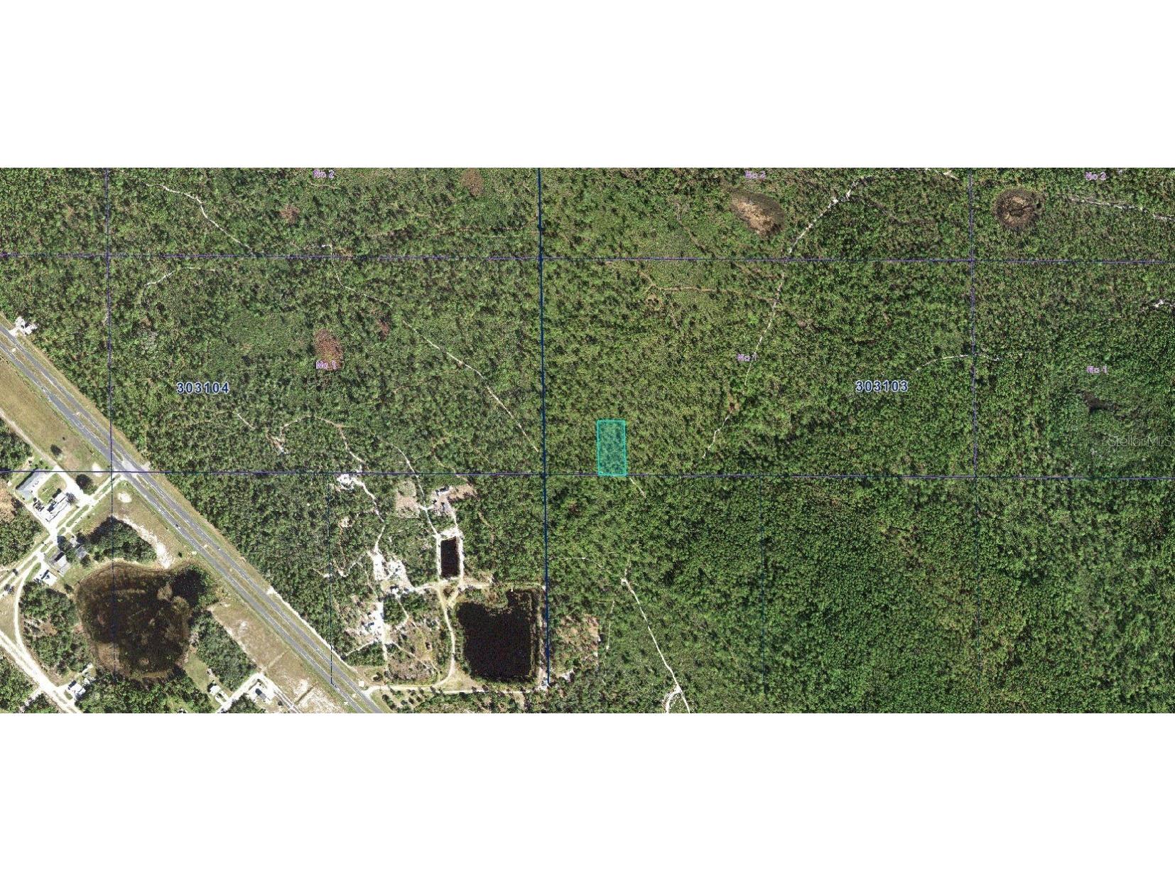 30-31-03-000000-034190 Inaaccesible Track Lake Wales FL 33898 A4663739 image3