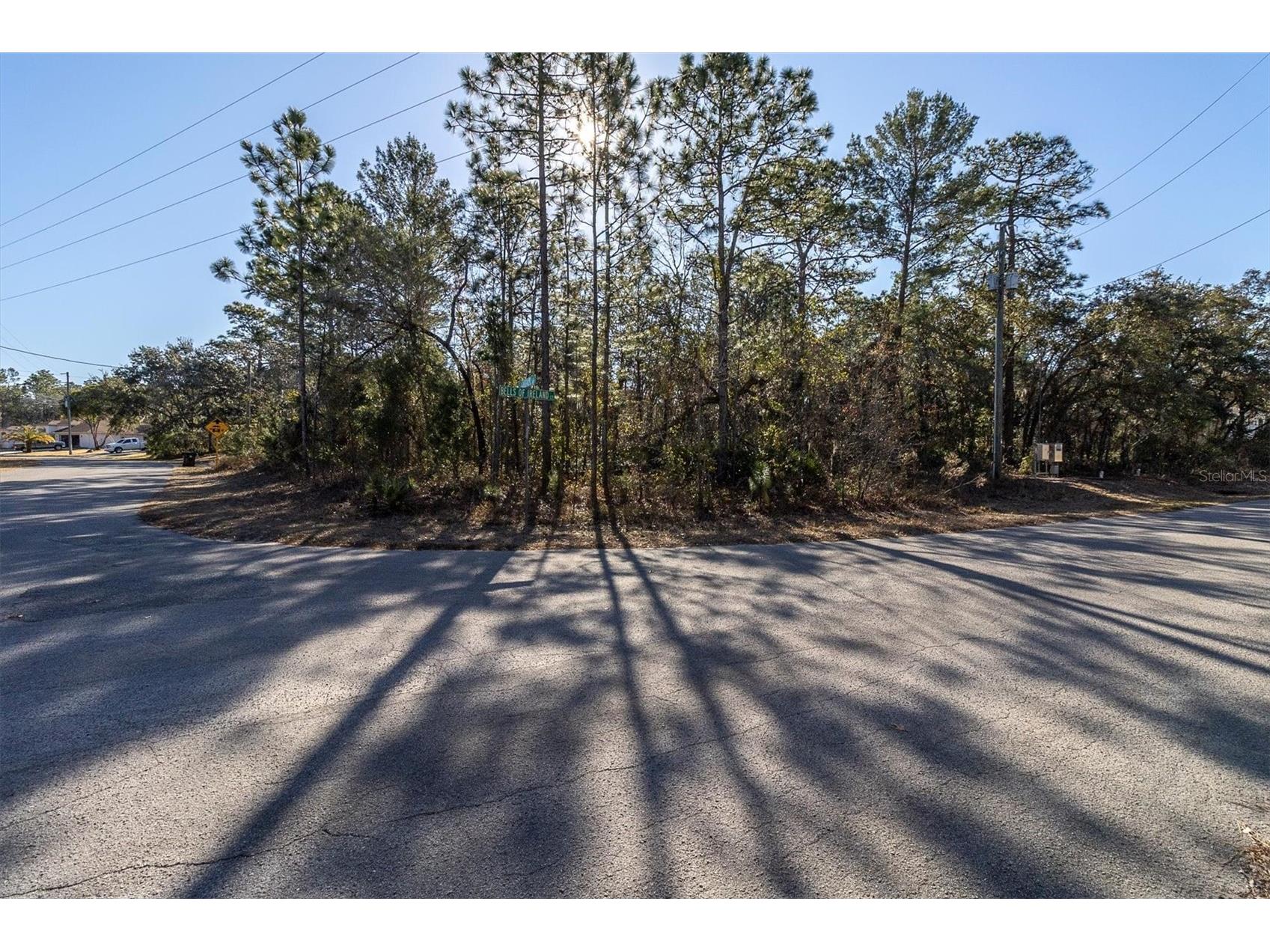 30 Bells Of Ireland Court Homosassa FL 34446 TB8473962 image10