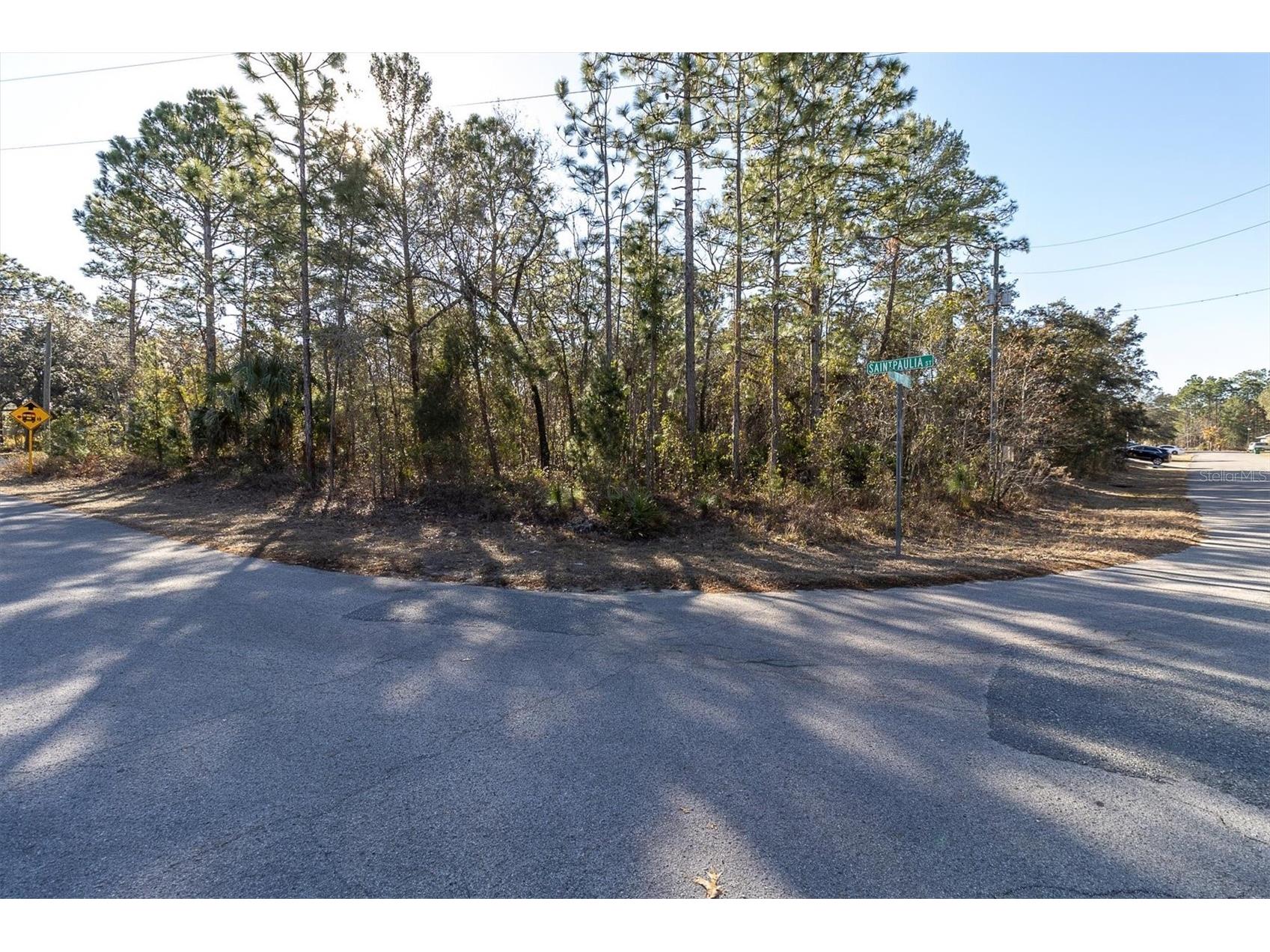 30 Bells Of Ireland Court Homosassa FL 34446 TB8473962 image2