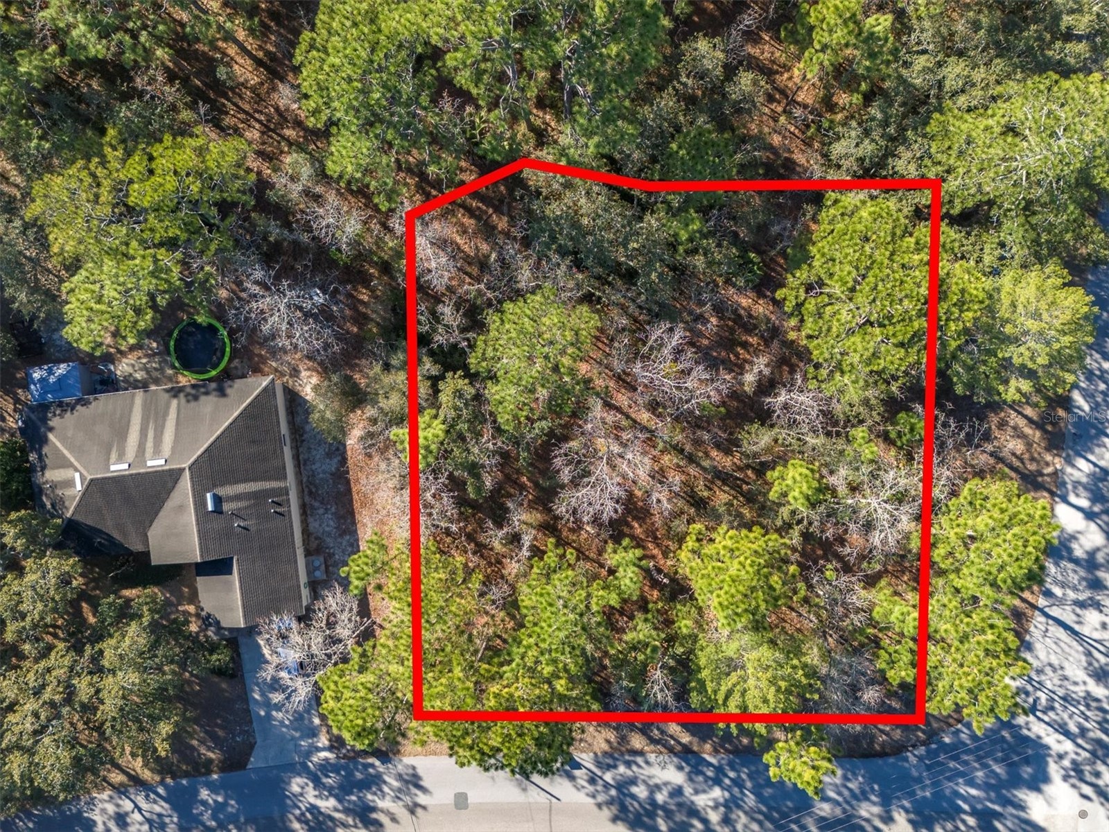 30 Bells Of Ireland Court Homosassa FL 34446 TB8473962 image4