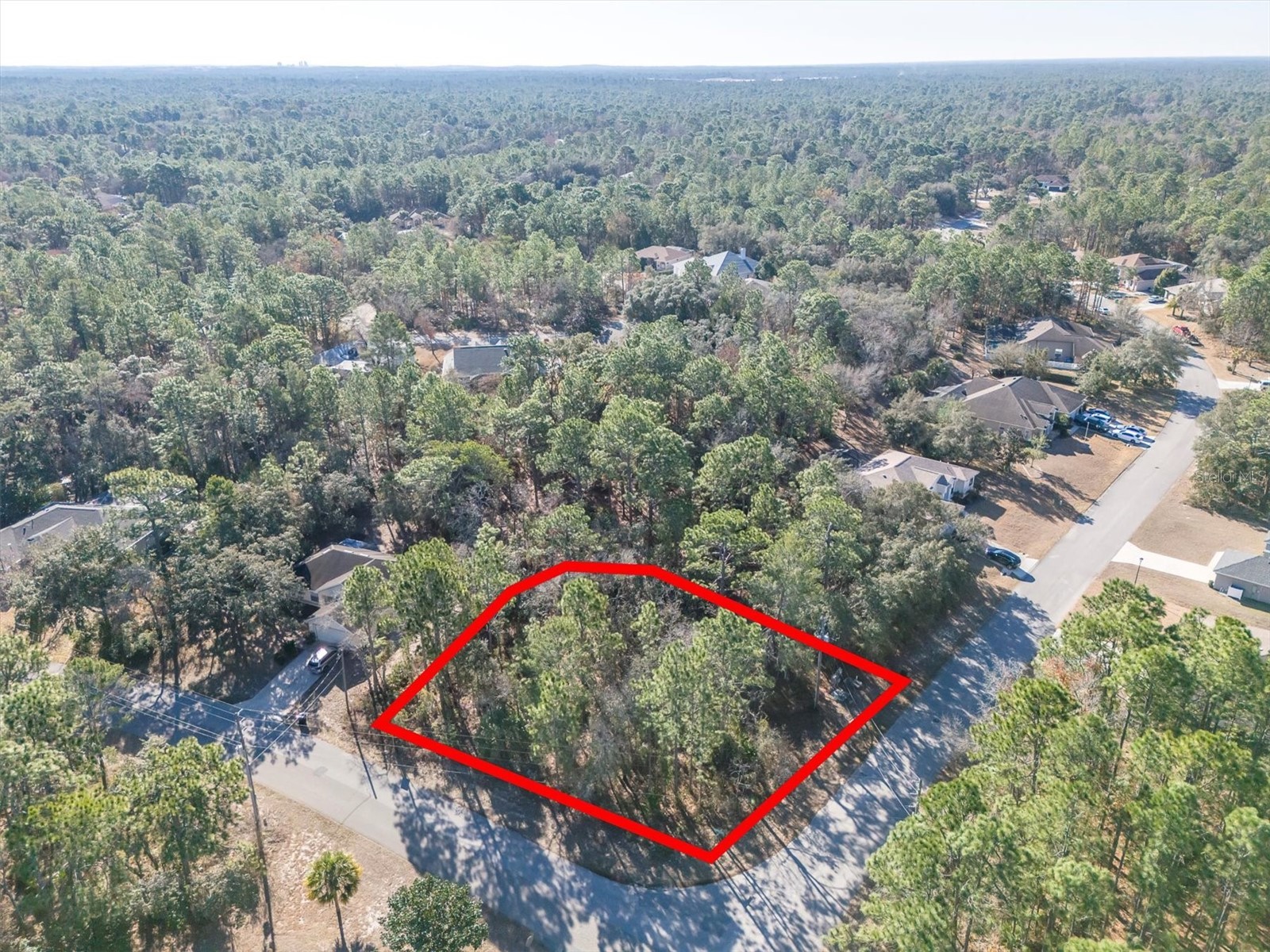 30 Bells Of Ireland Court Homosassa FL 34446 TB8473962 image5