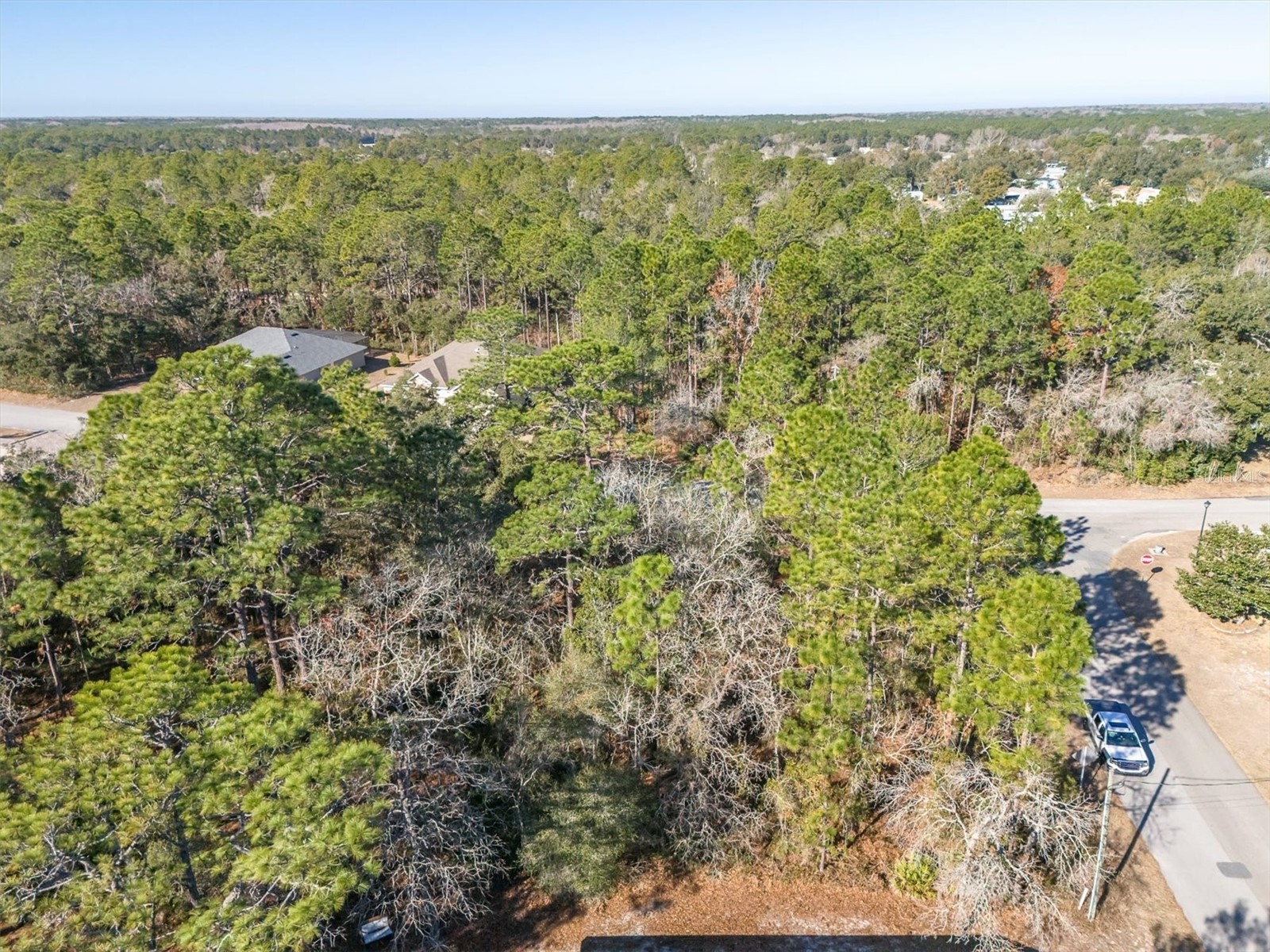 30 Bells Of Ireland Court Homosassa FL 34446 TB8473962 image6