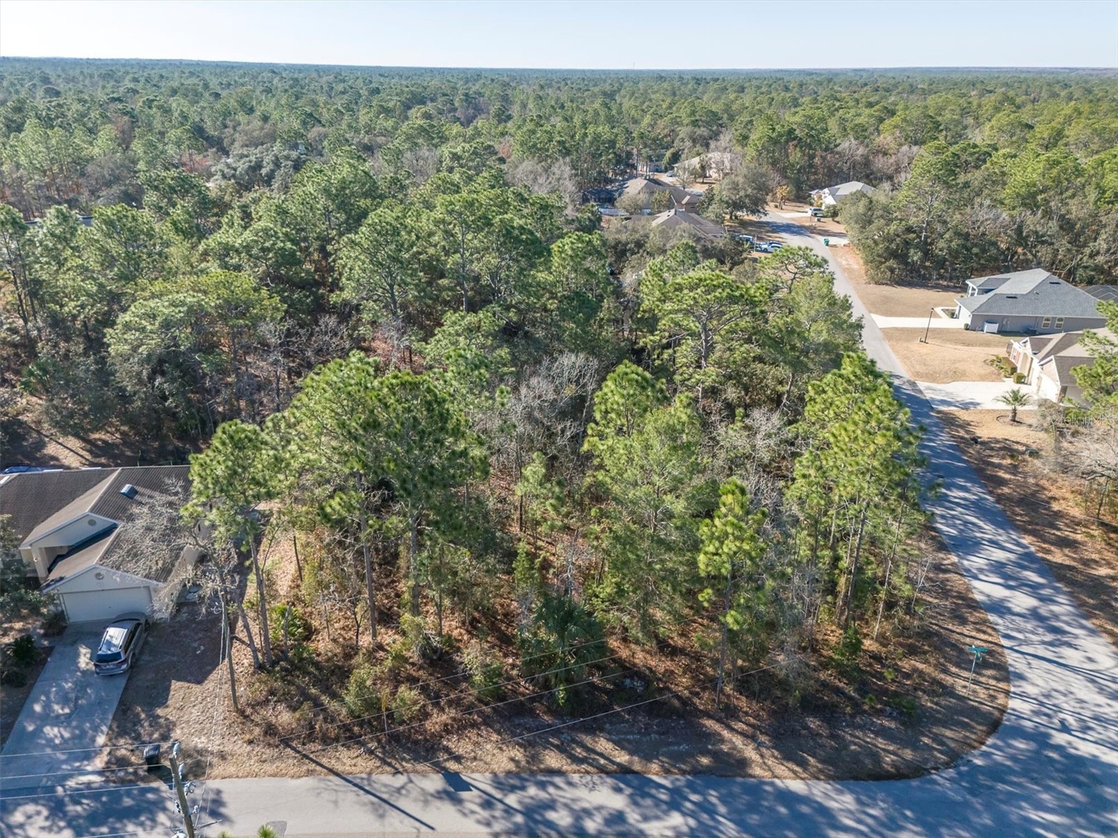 30 Bells Of Ireland Court Homosassa FL 34446 TB8473962 image7