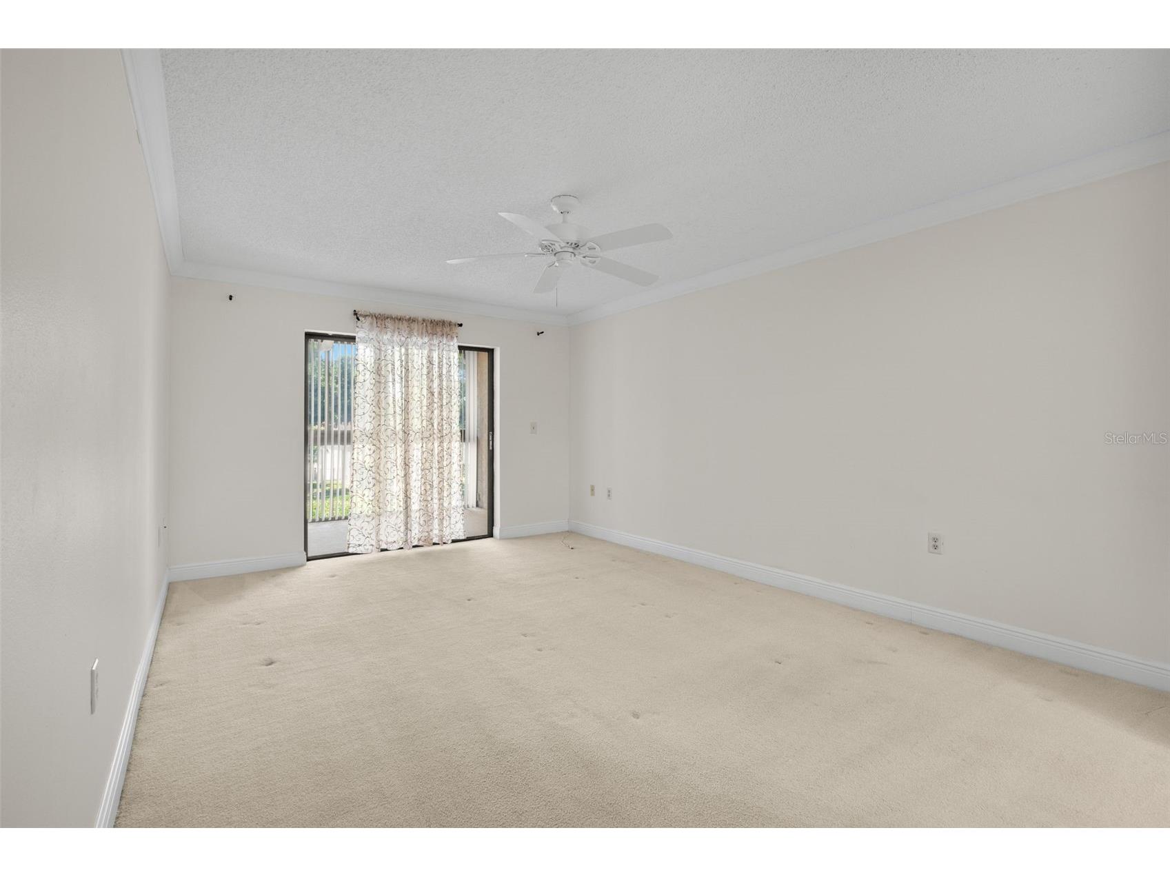 30 Ingrid Place Oldsmar FL 34677 TB8508886 image25