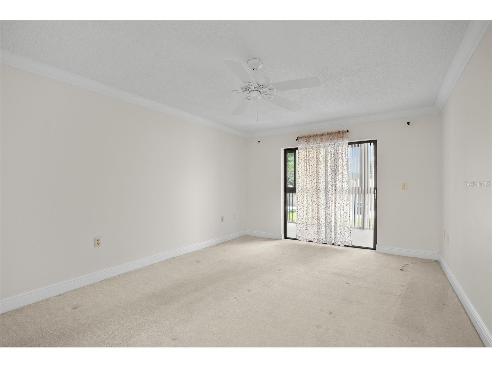 30 Ingrid Place Oldsmar FL 34677 TB8508886 image26