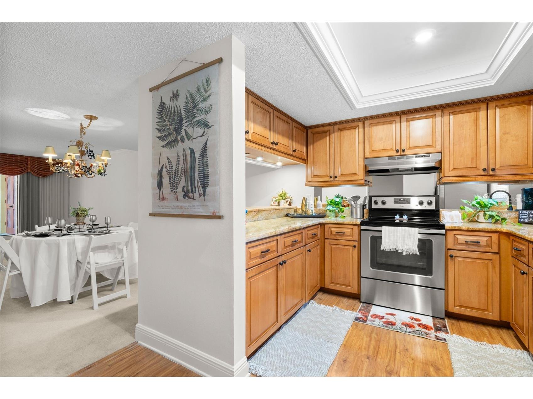30 Ingrid Place Oldsmar FL 34677 TB8508886 image3