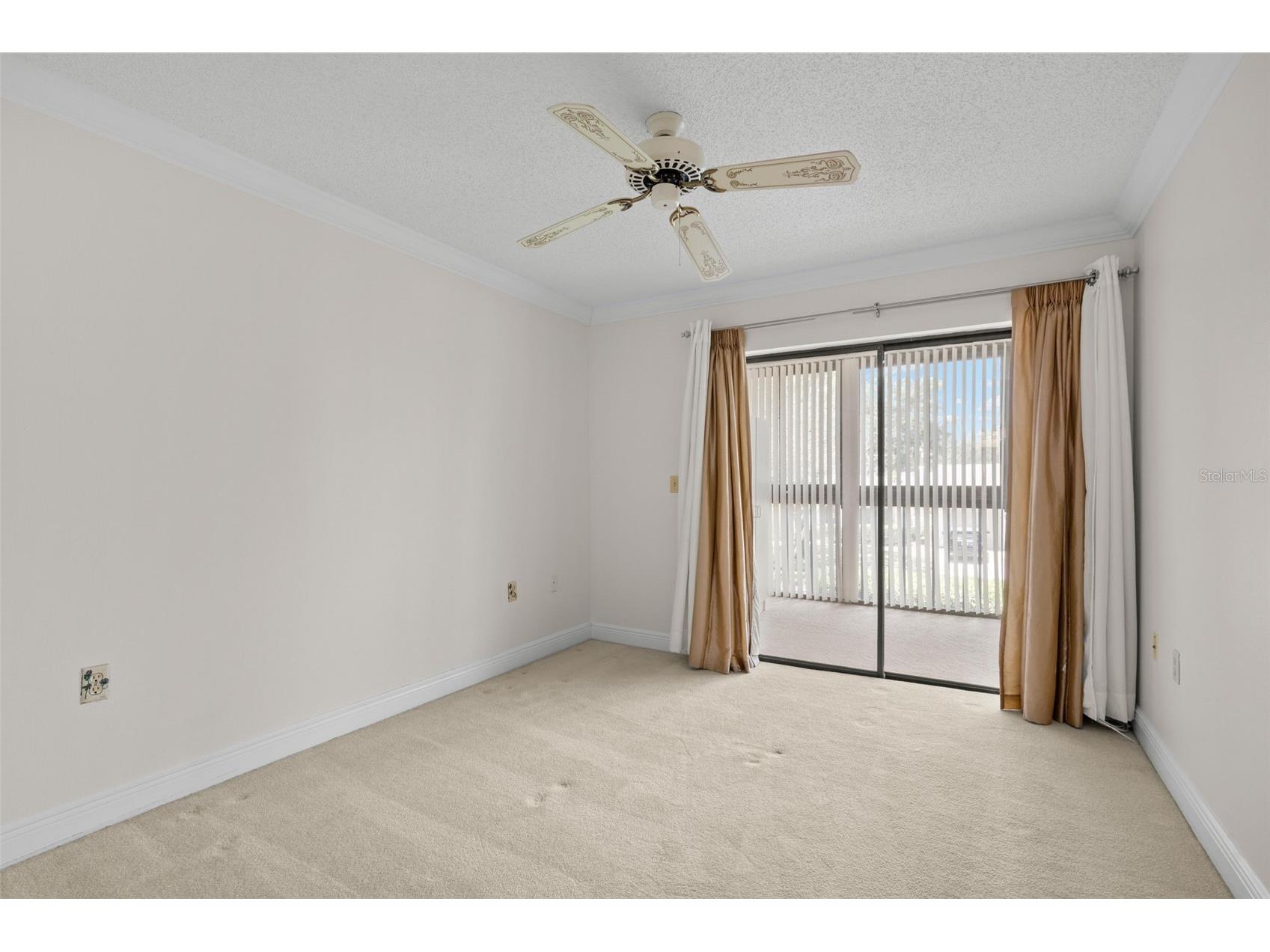 30 Ingrid Place Oldsmar FL 34677 TB8508886 image33