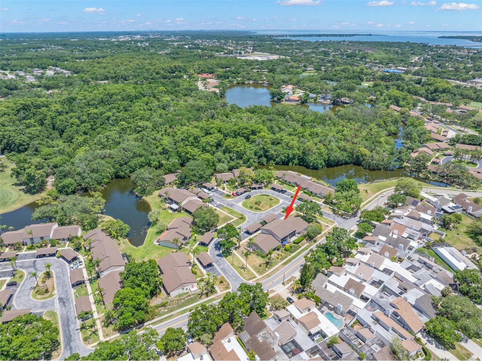 30 Ingrid Place Oldsmar FL 34677 TB8508886 image47