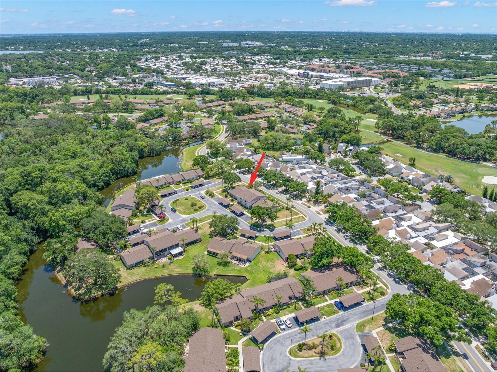 30 Ingrid Place Oldsmar FL 34677 TB8508886 image48