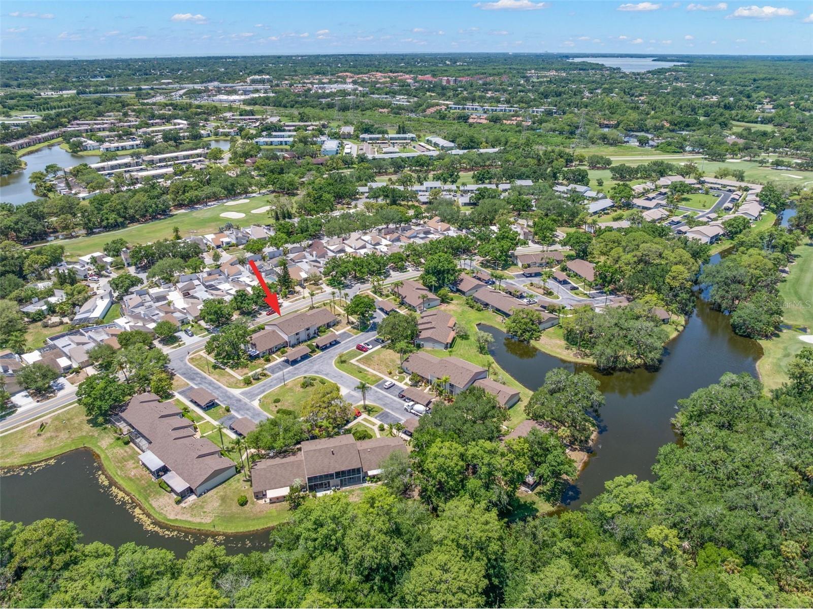 30 Ingrid Place Oldsmar FL 34677 TB8508886 image49