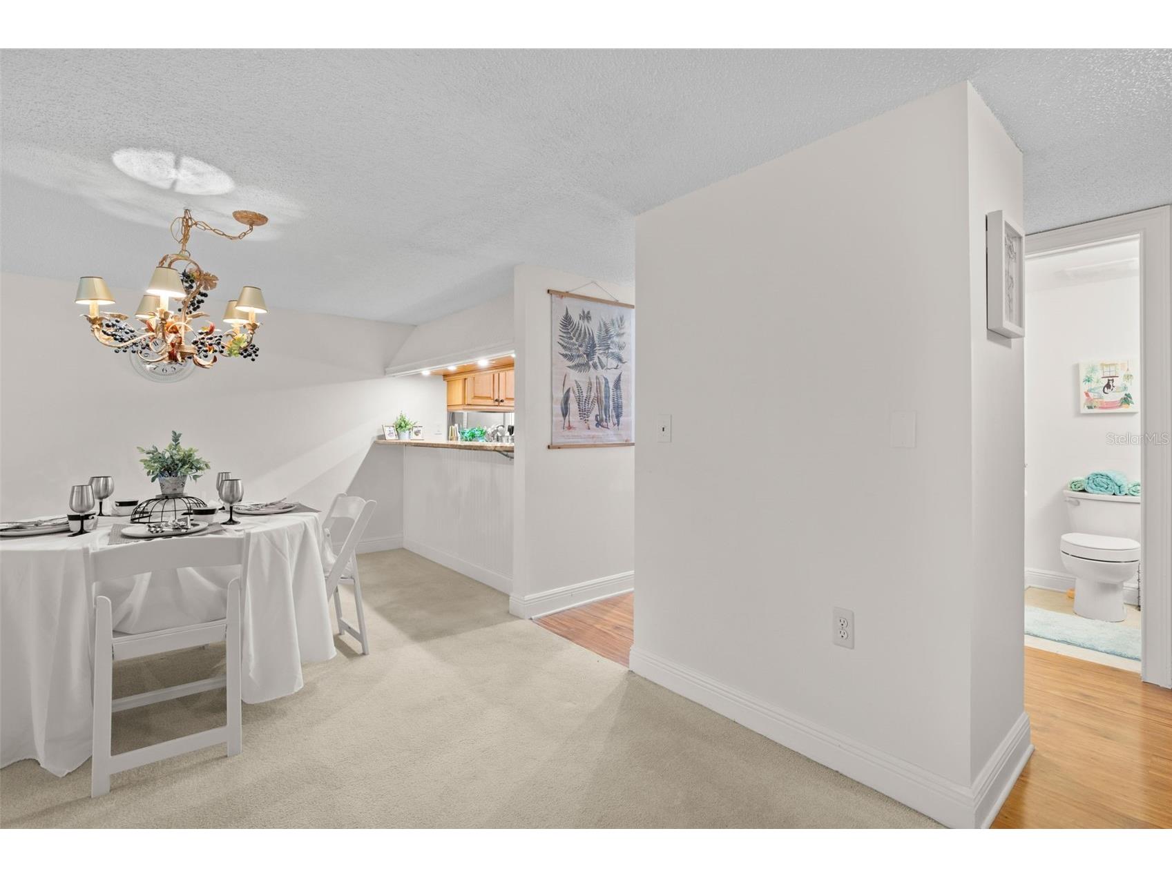 30 Ingrid Place Oldsmar FL 34677 TB8508886 image7